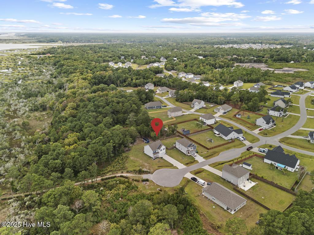 100536703 | Photo 41