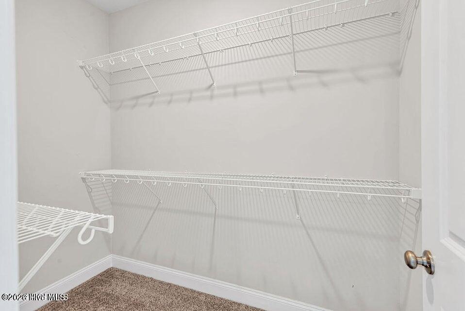 100566318 | Photo 19