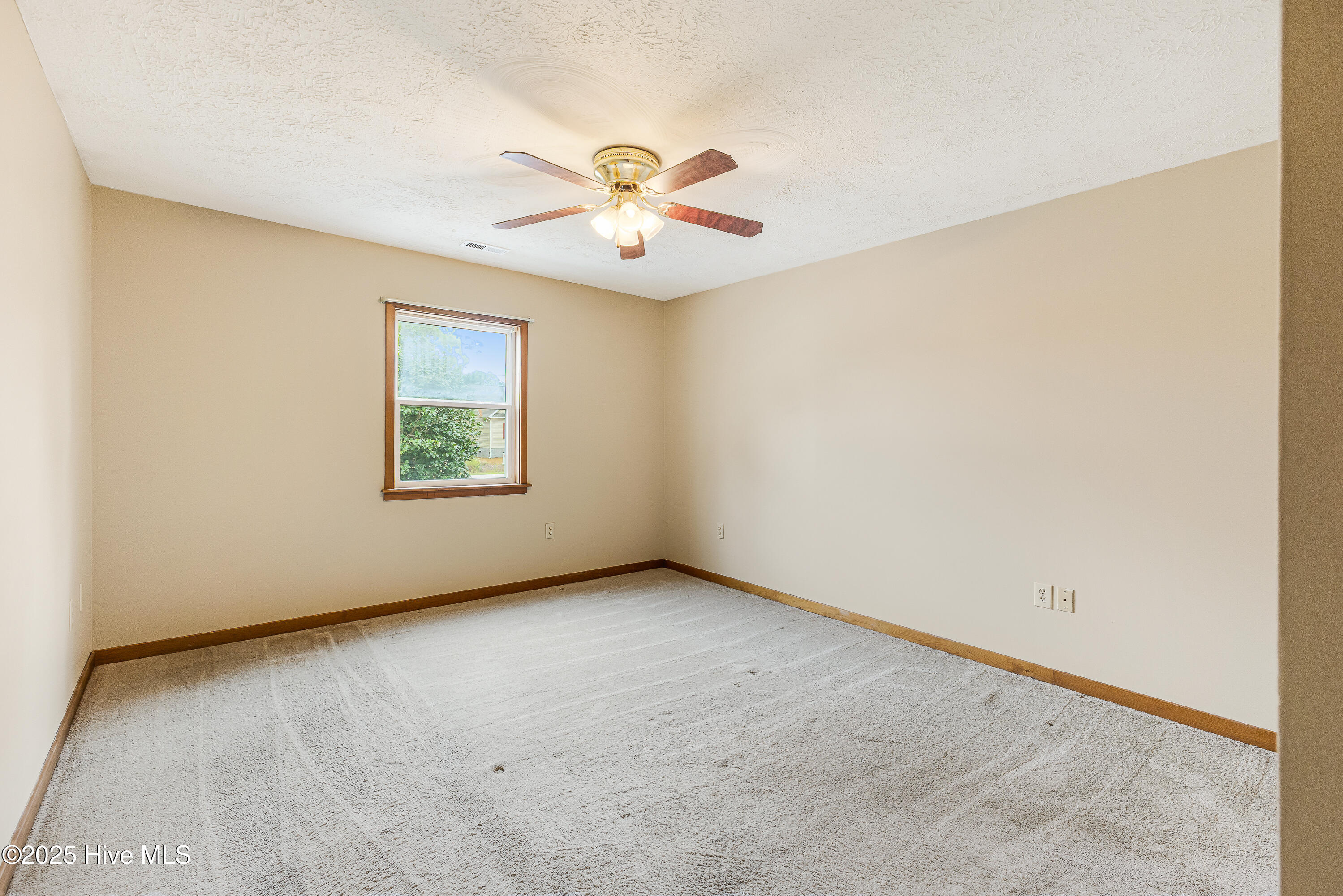 100528021 | Photo 23