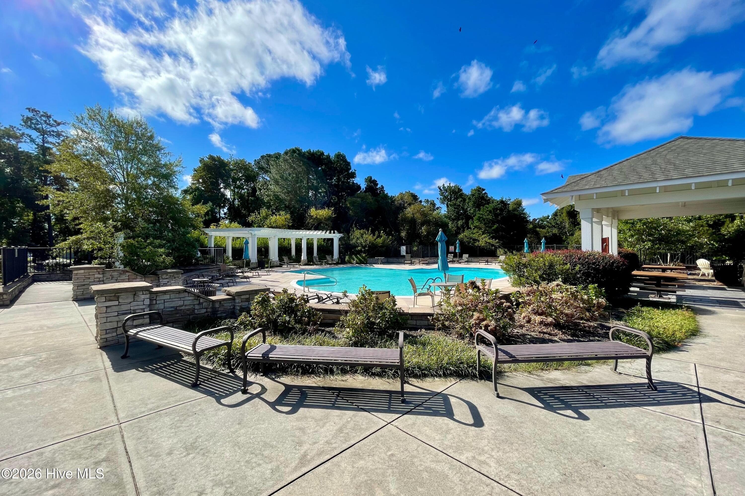 100555931 | Photo 37