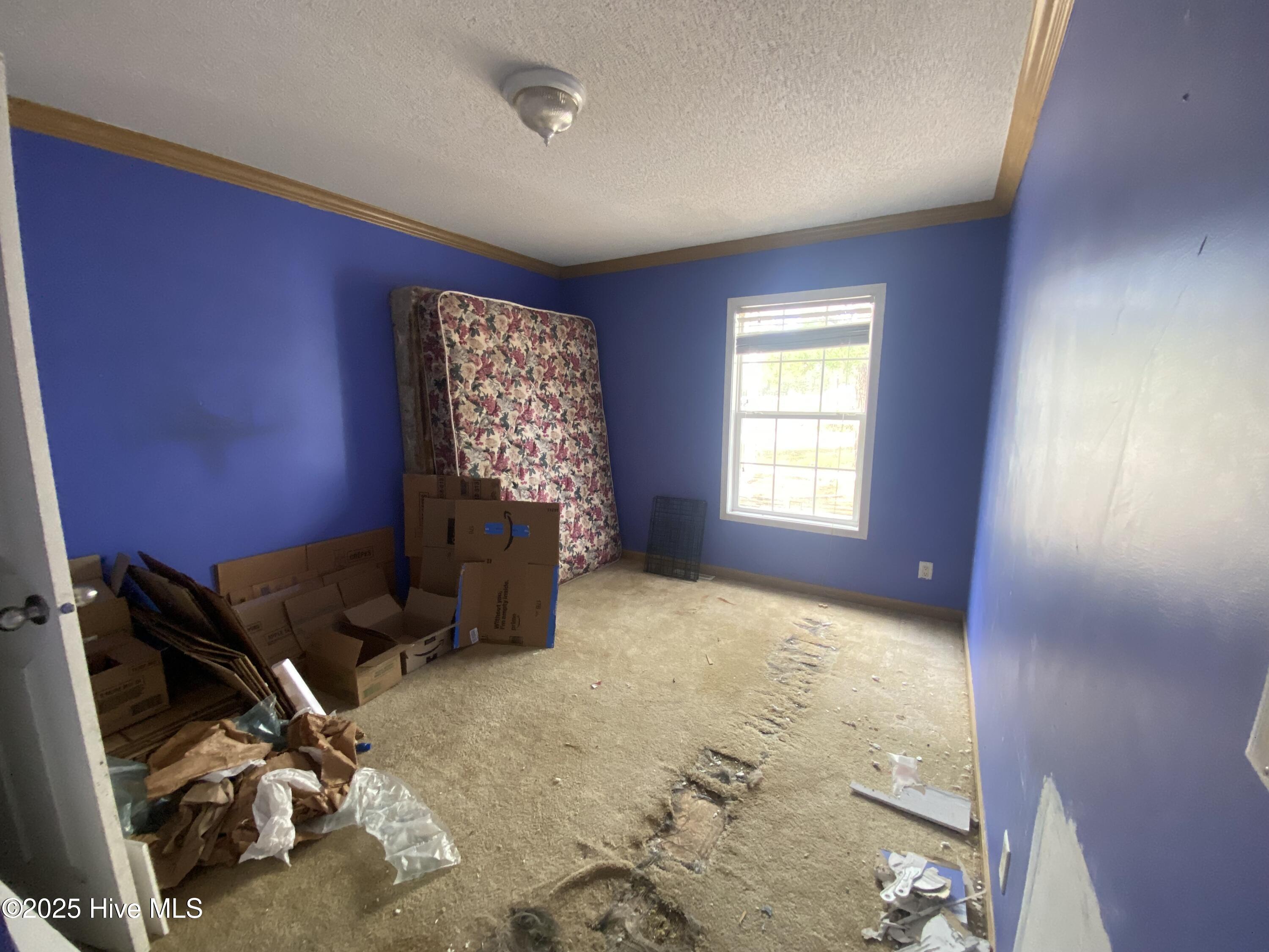 100543834 | Photo 17