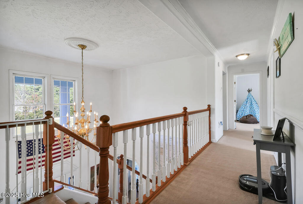 100537845 | Photo 42