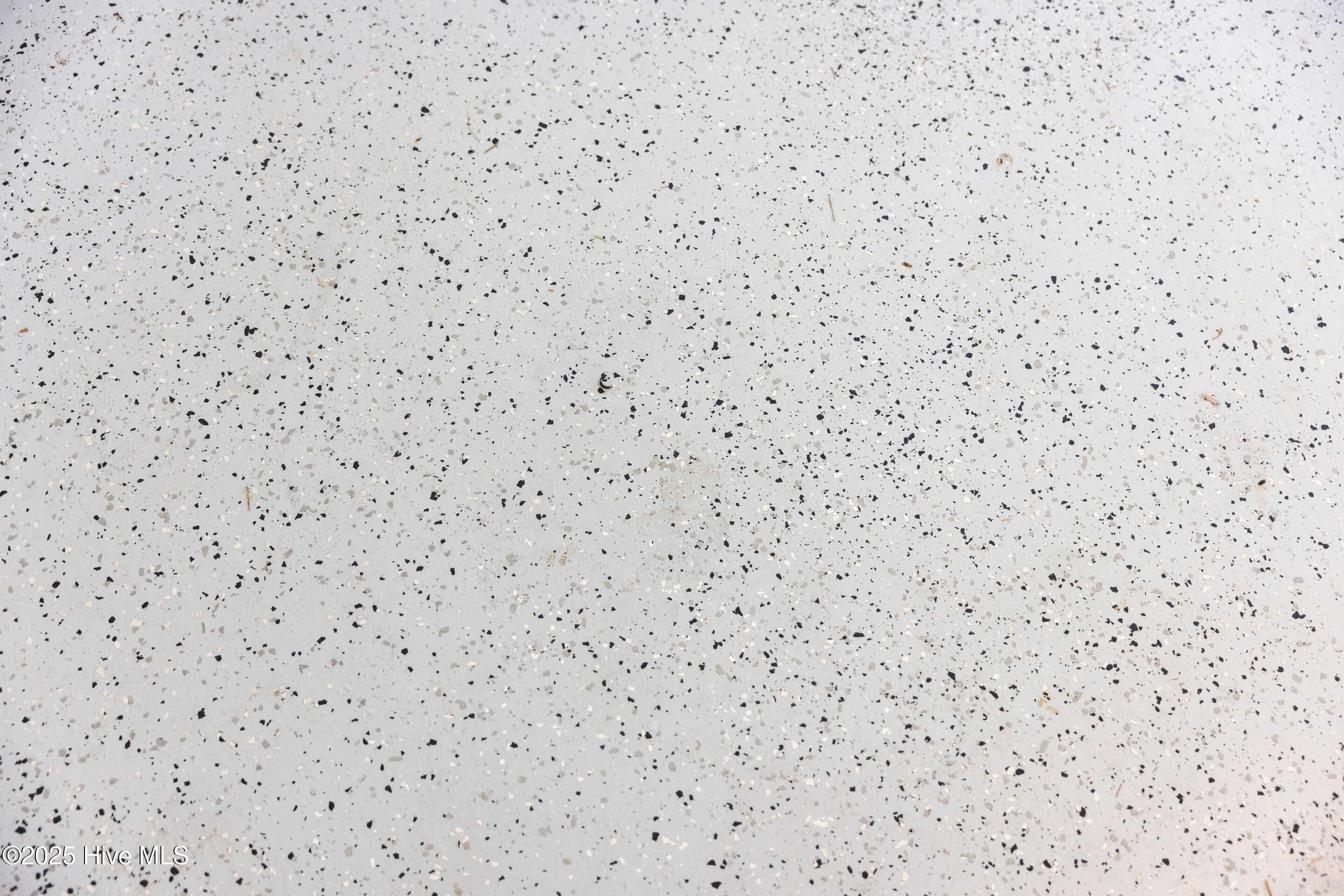 100531261 | Photo 58