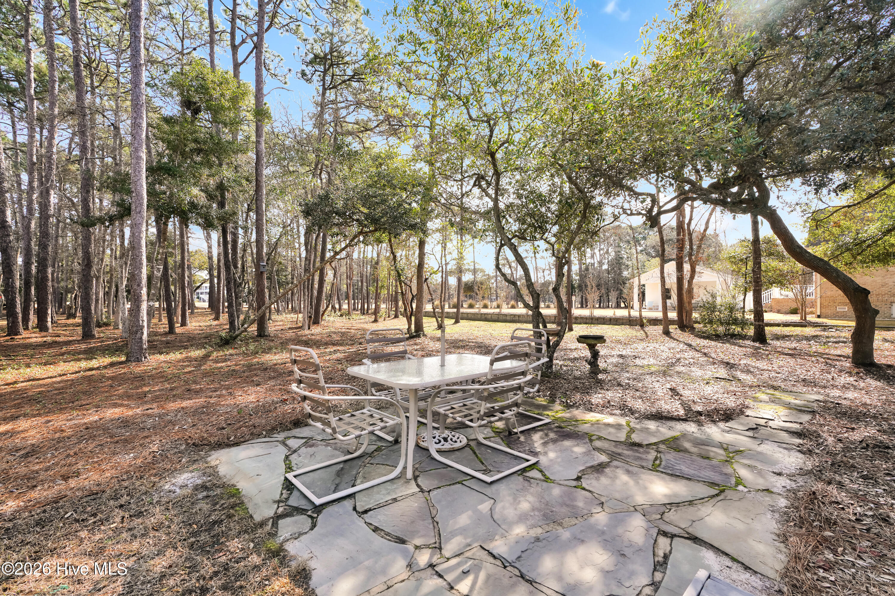 100549452 | Photo 30