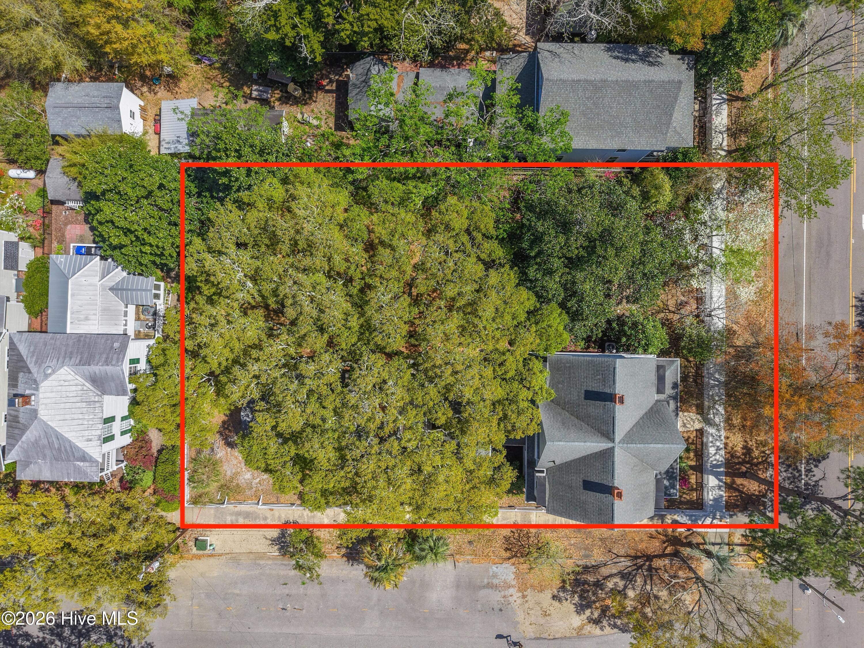 100566206 | Photo 55