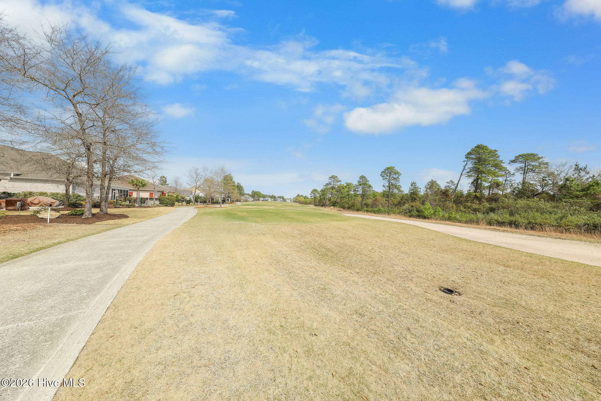 100564849 | Photo 20