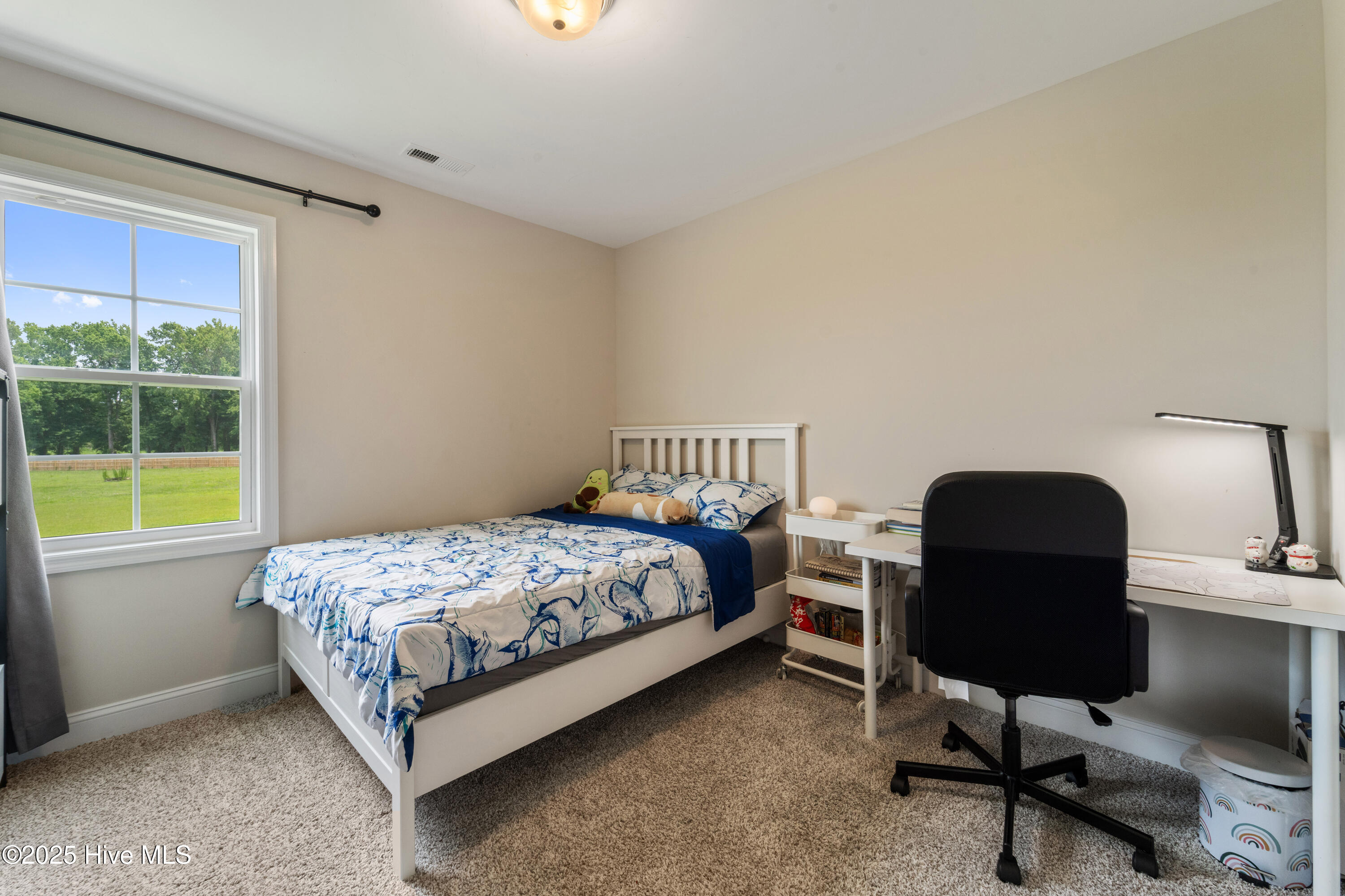 100533820 | Photo 17