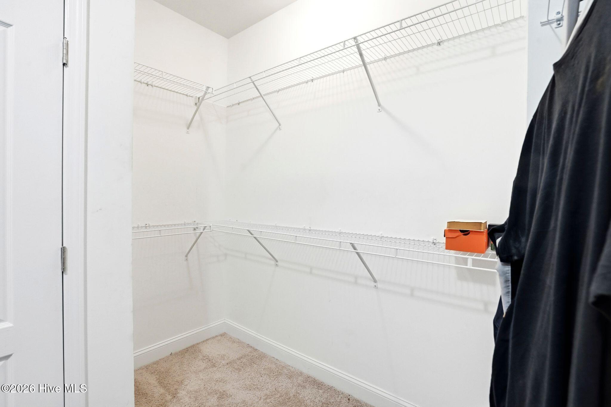 100567646 | Photo 41