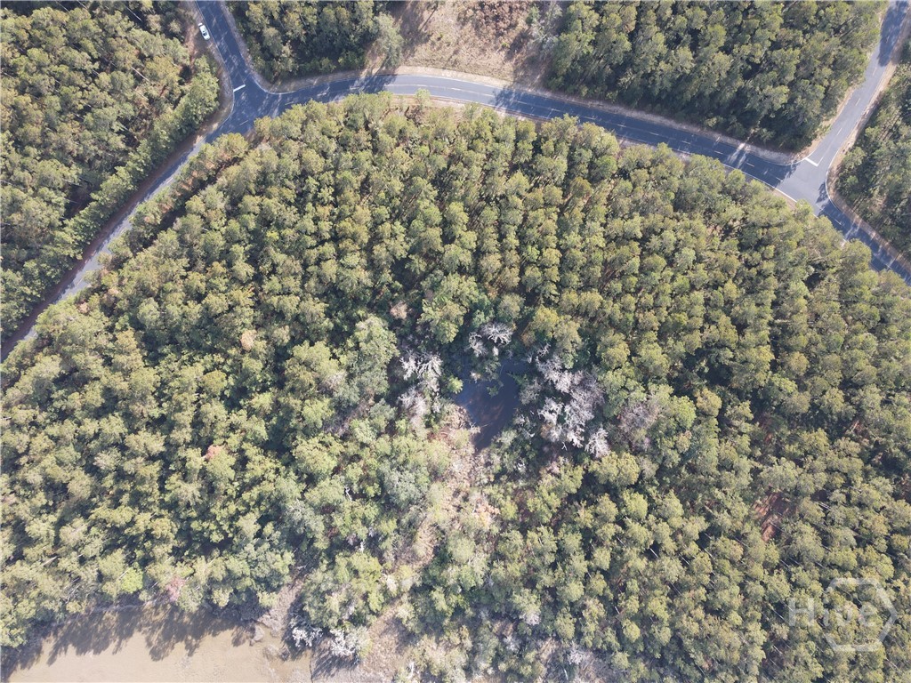 Homes for sale in Townsend, GA | Lot 45 Ne Marsh Way W, Townsend, GA 31331 | MLS# SA344639