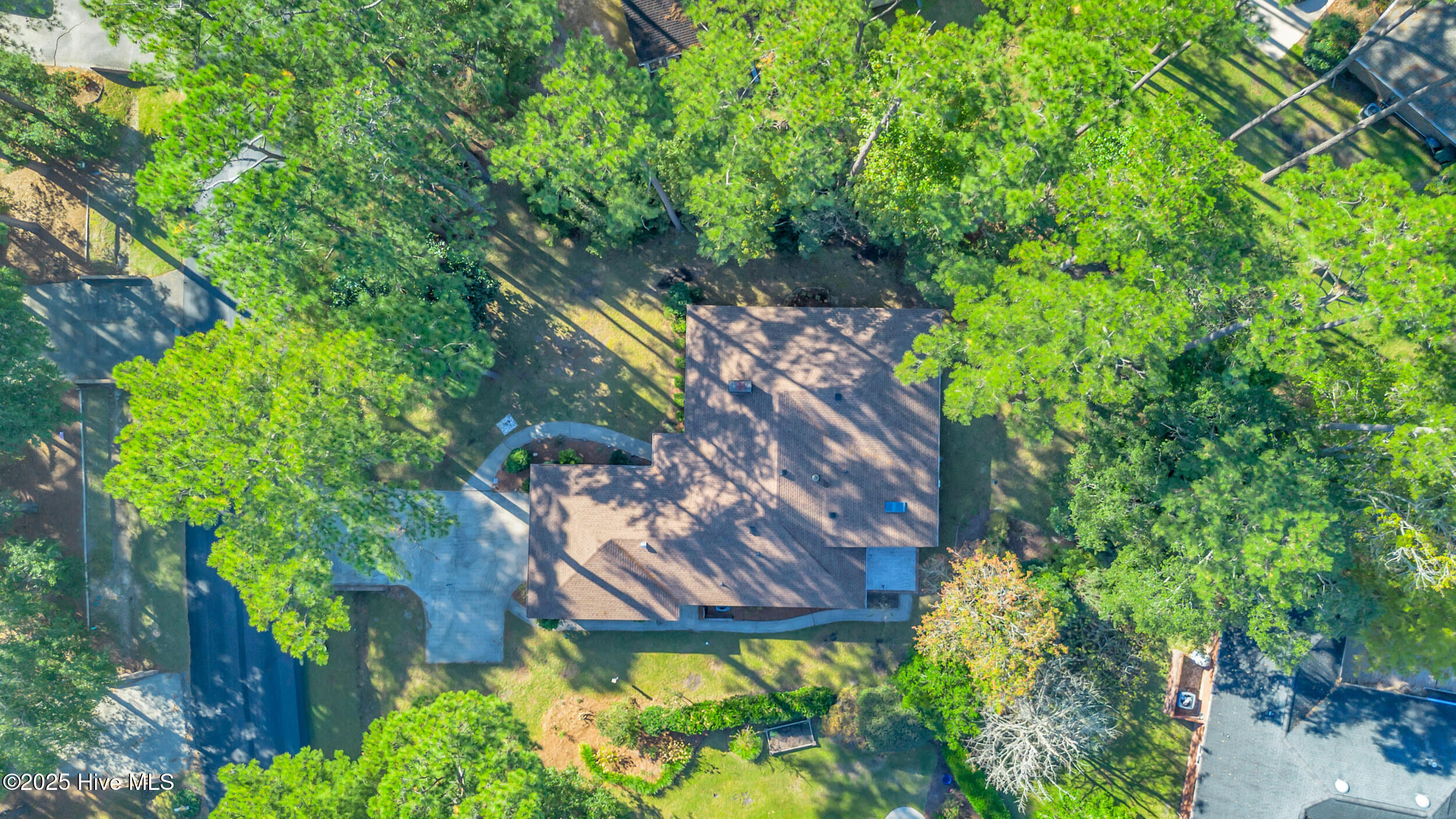 100538060 | Photo 39