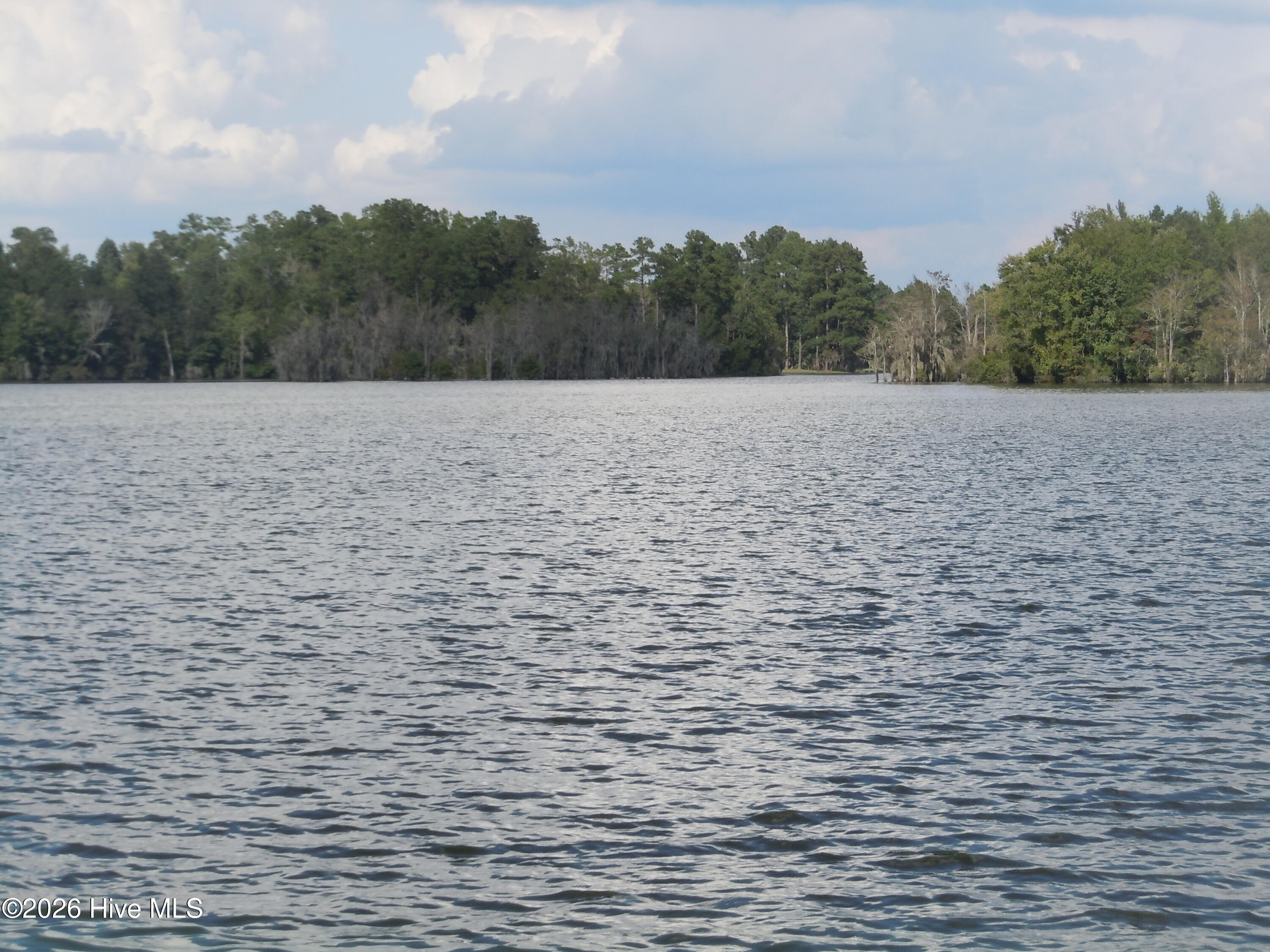 100553608 | Photo 42