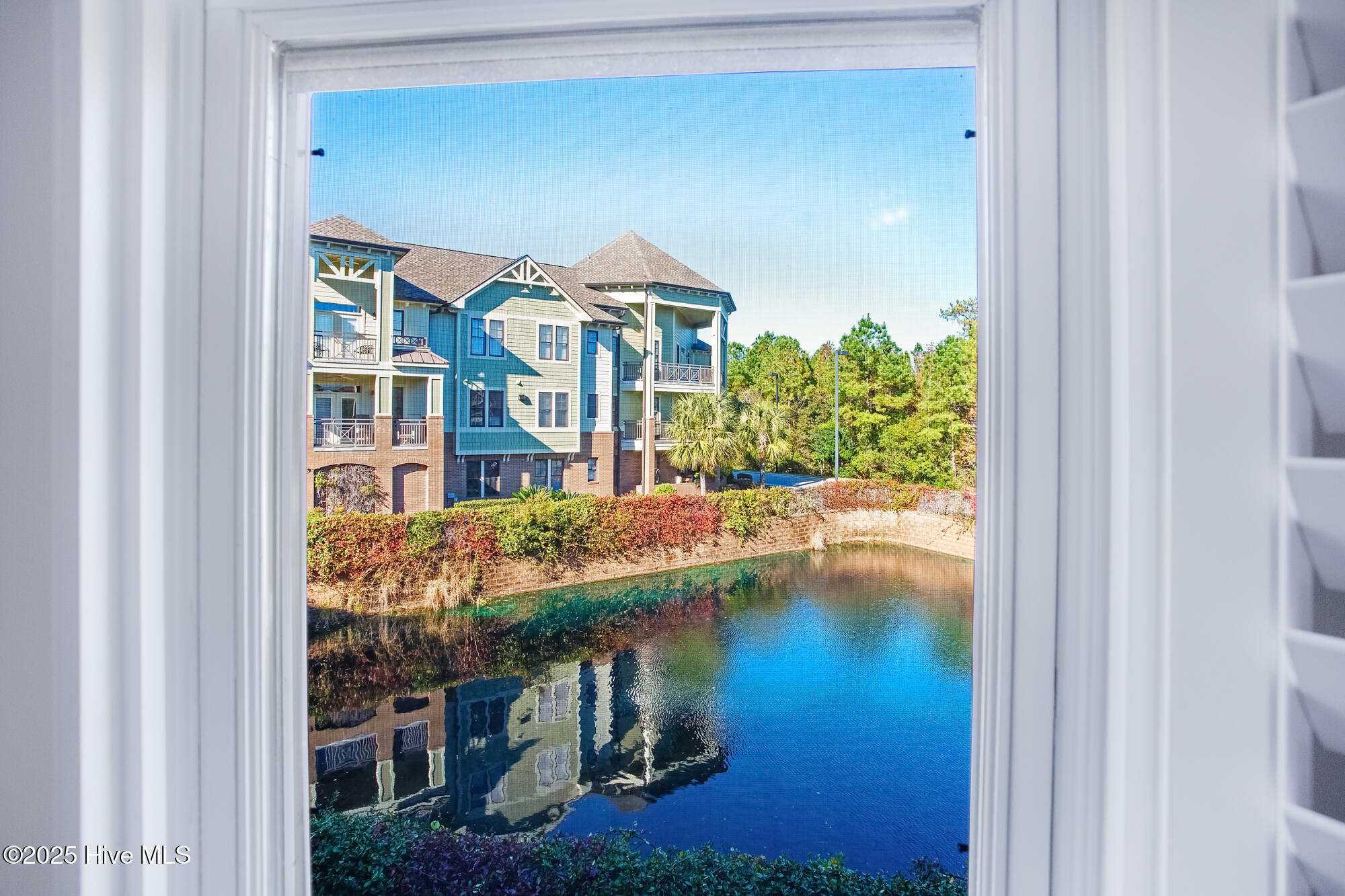 100510671 | Photo 16