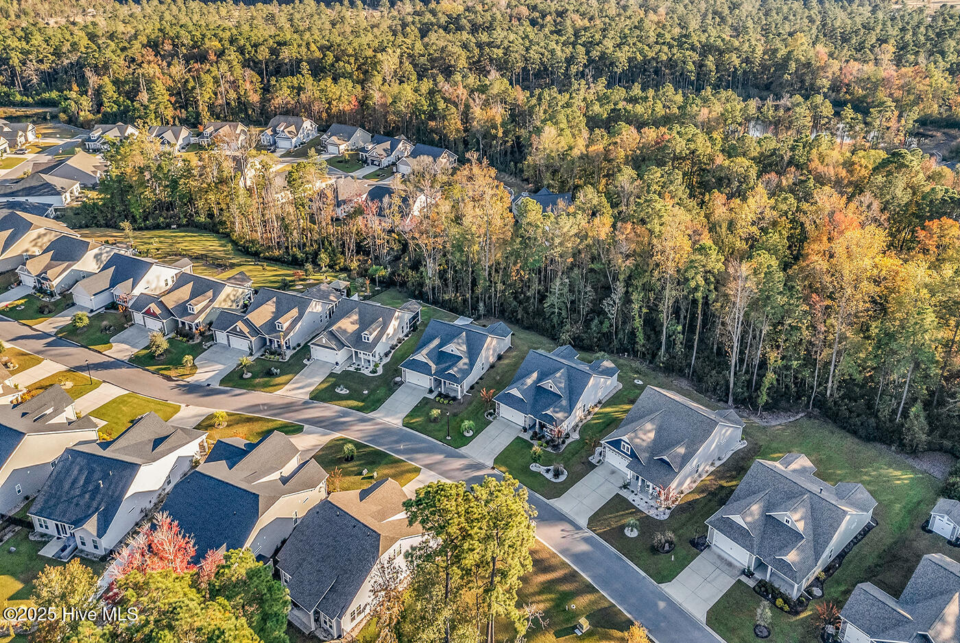 100539654 | Photo 52