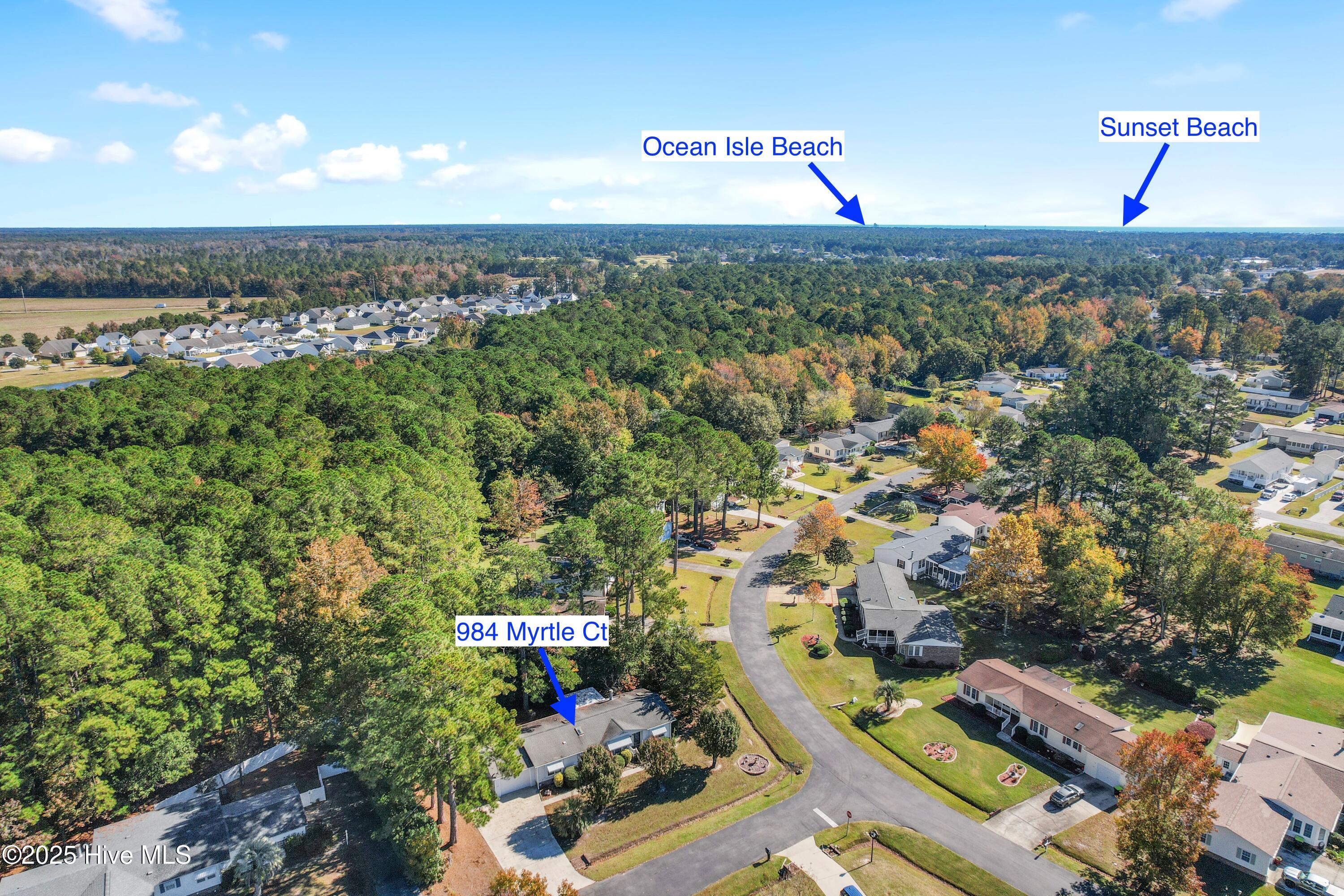 100539730 | Photo 32