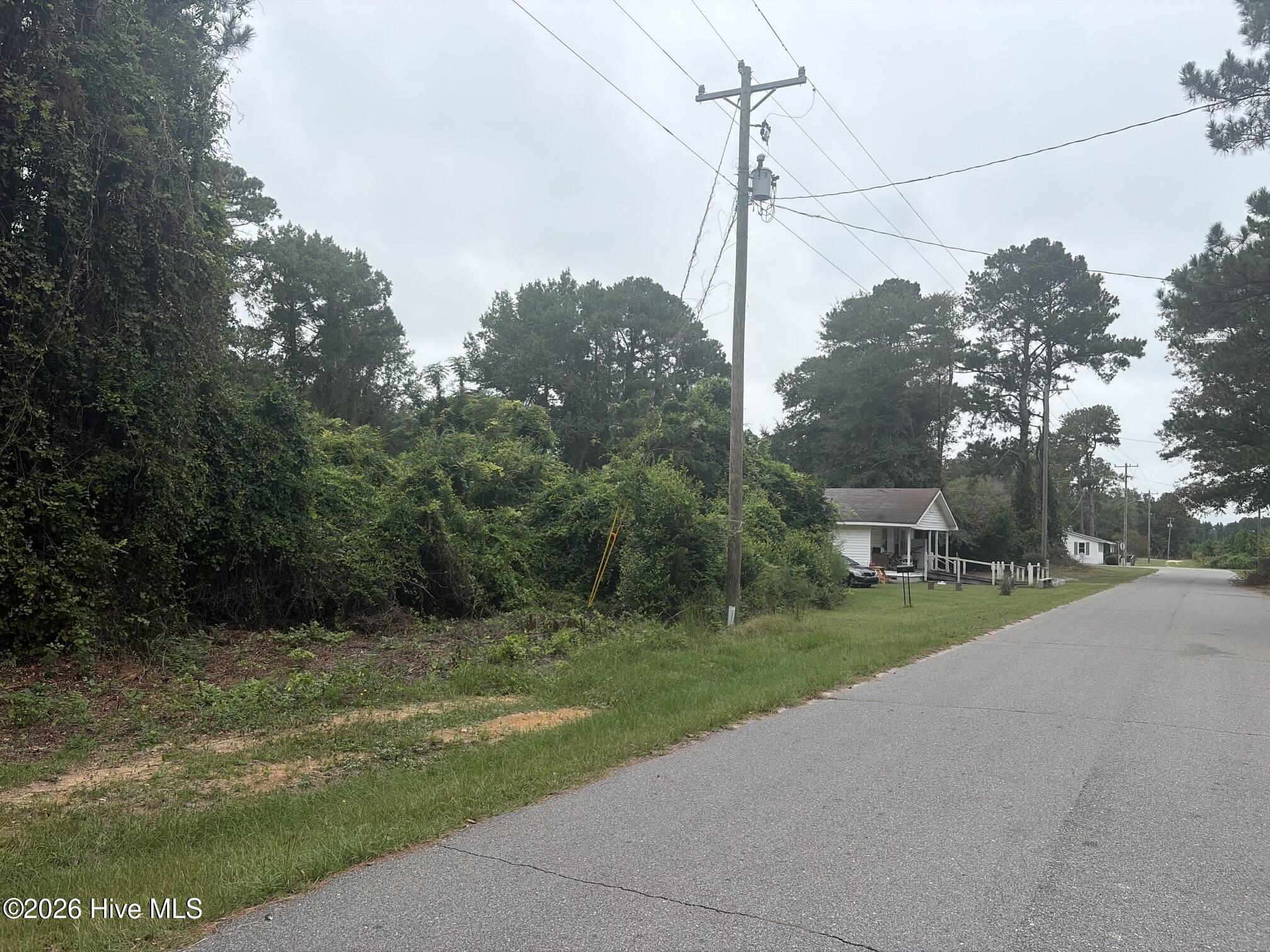 Photo 4 of Land for sale at (Undisclosed), Salemburg, NC 28385 | MLS# 100605335 | Listing updated on 2026-10-05
