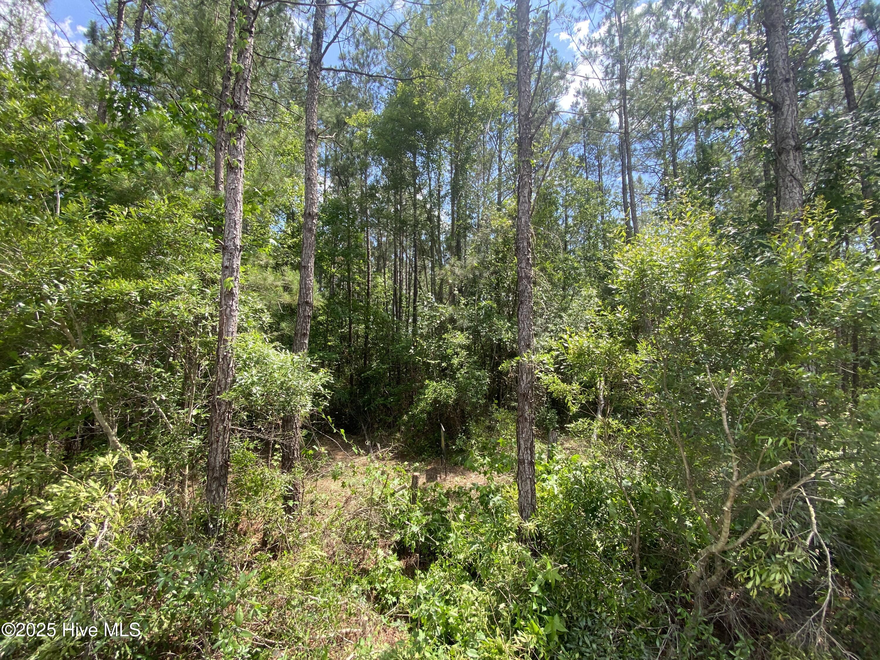 8891 Millers Path NE, Leland, NC, 28451