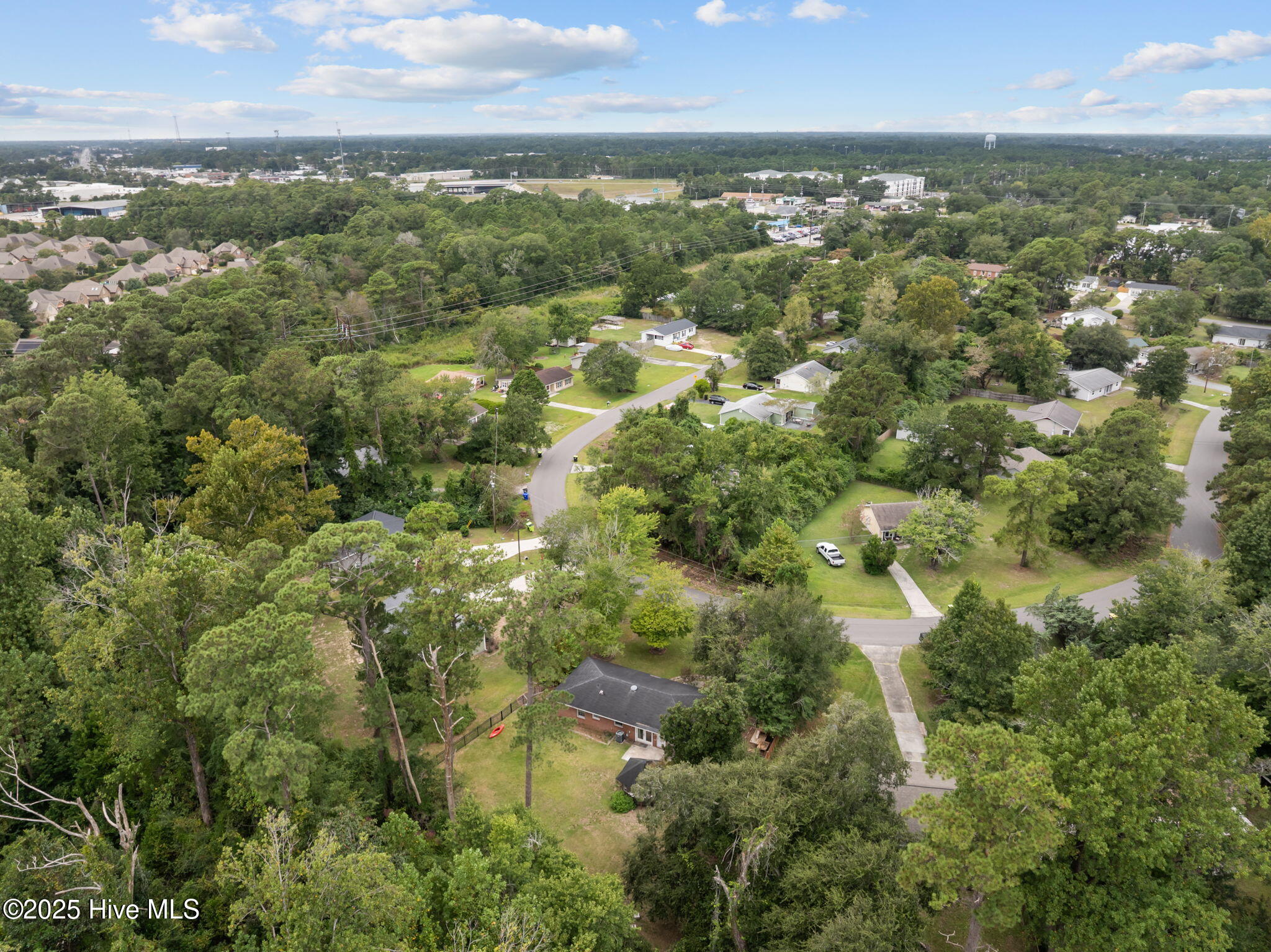 100531423 | Photo 46