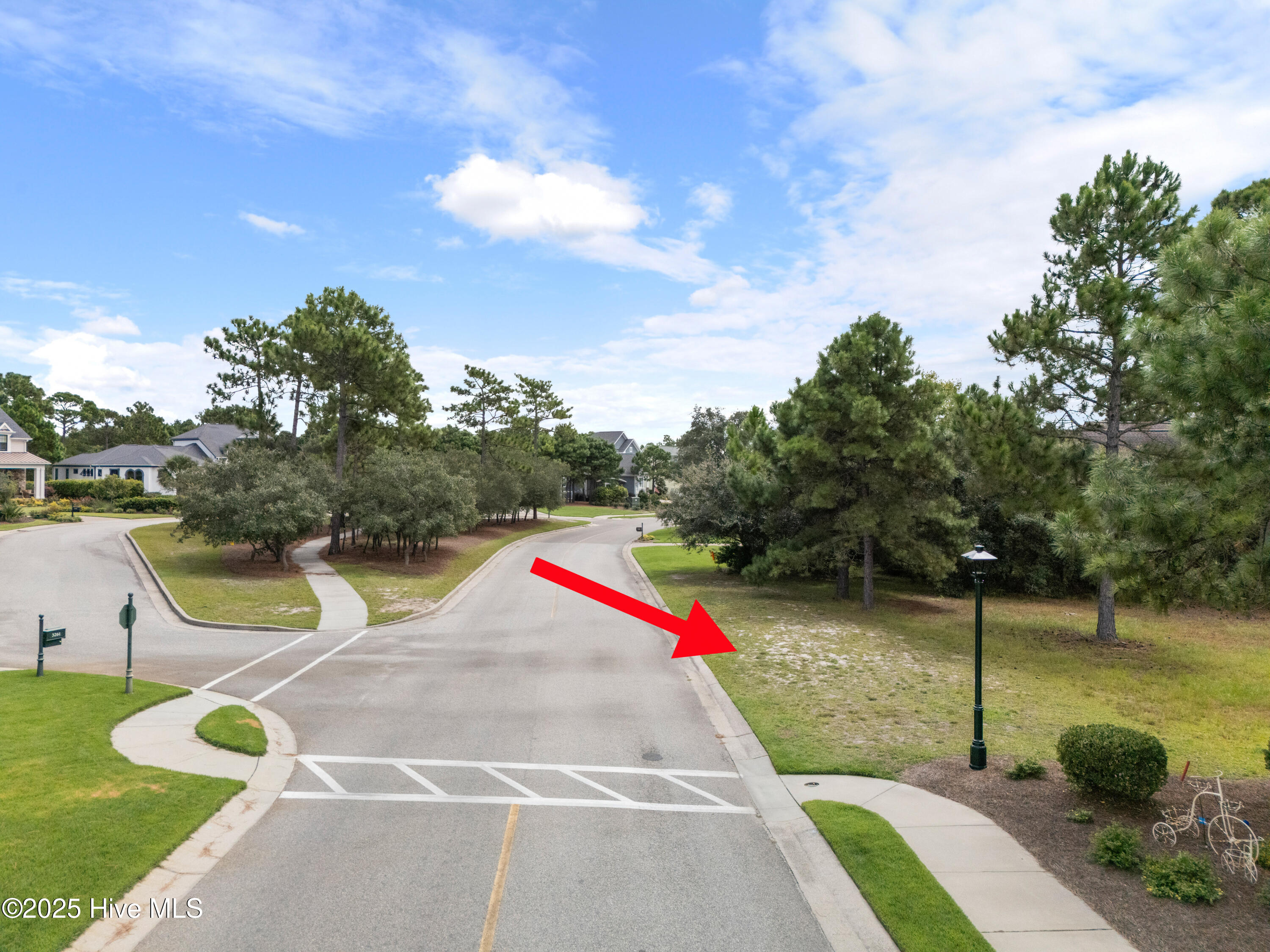 100569790 | Photo 29