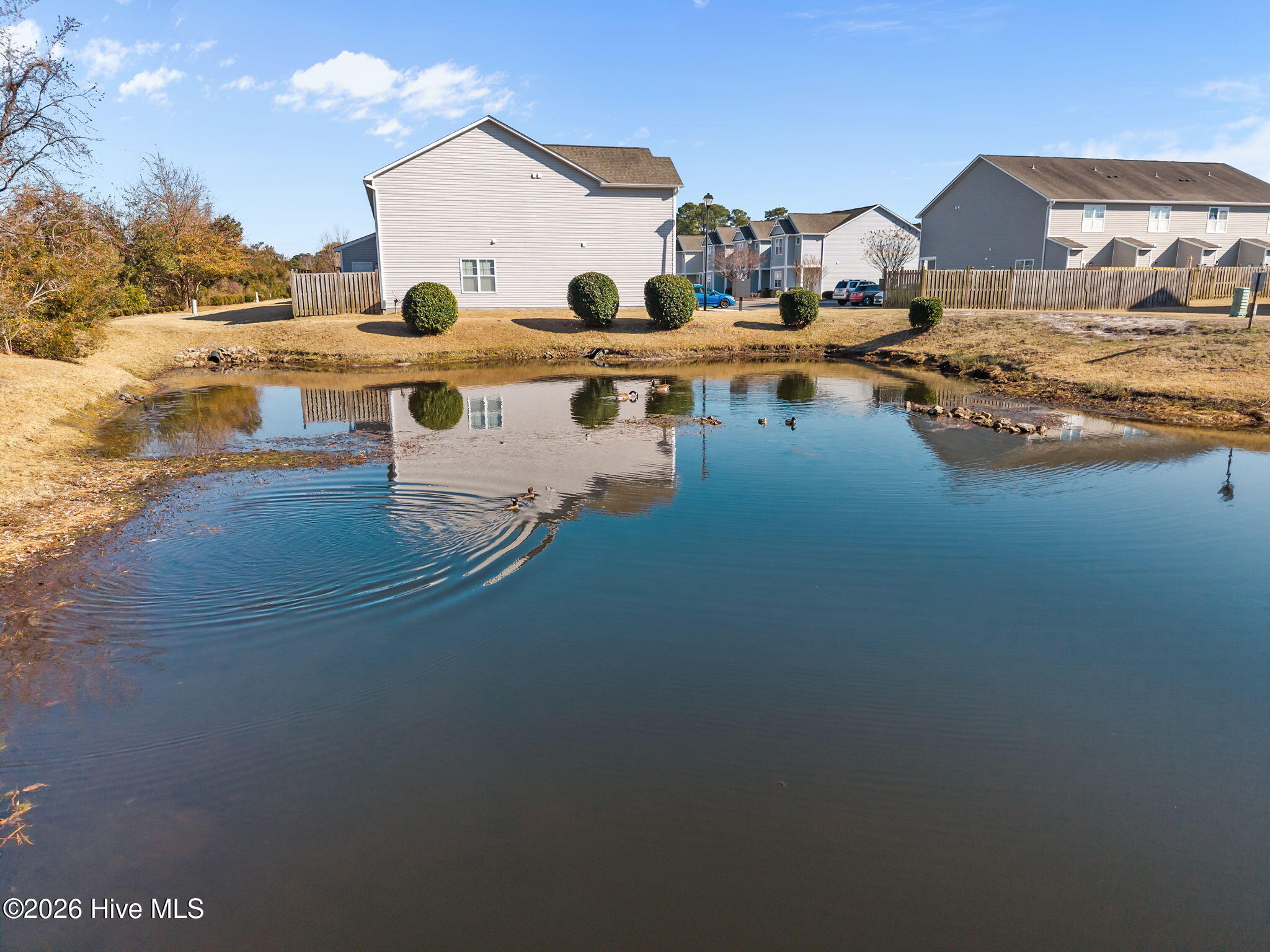 100555815 | Photo 48