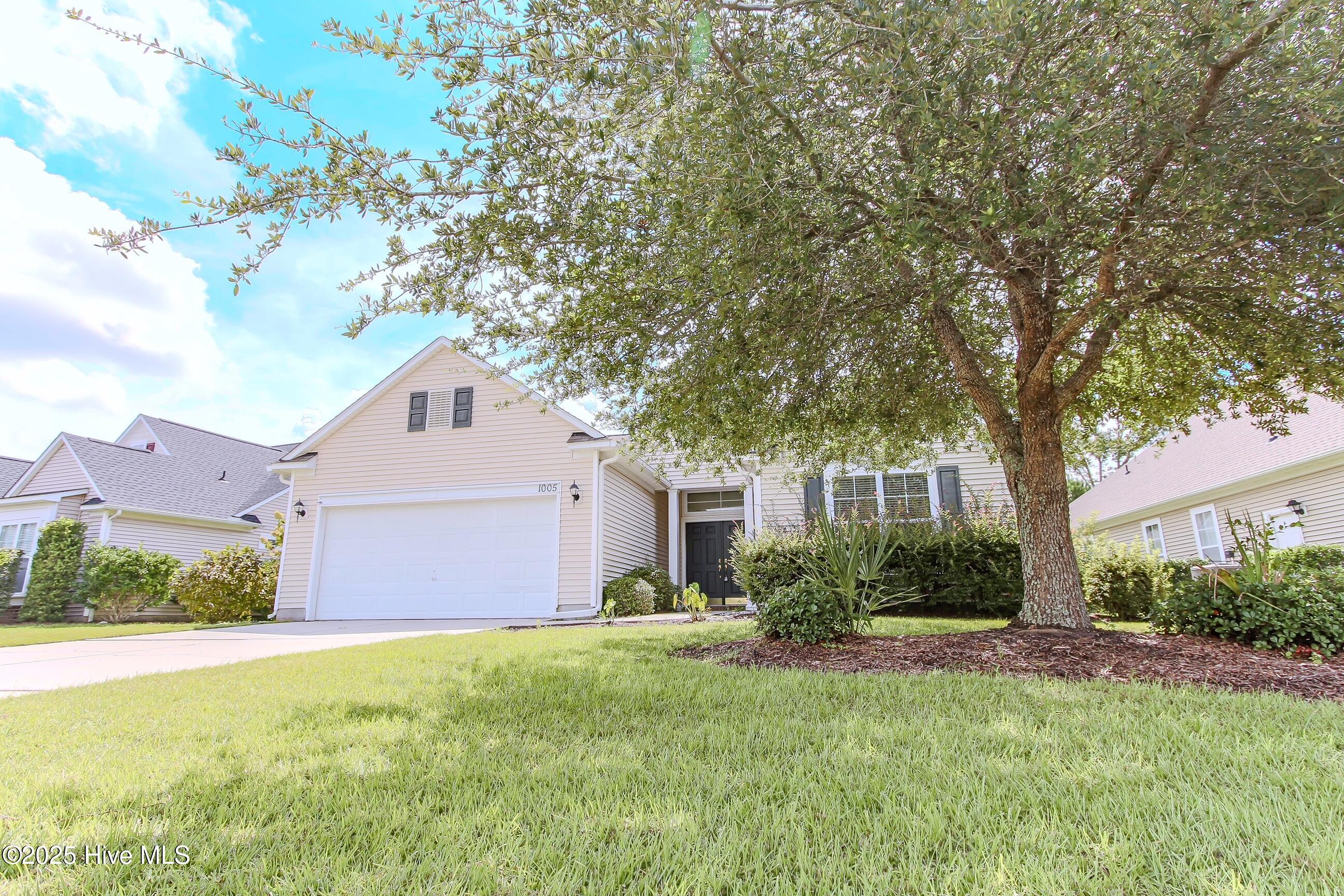 100525378 | Photo 10