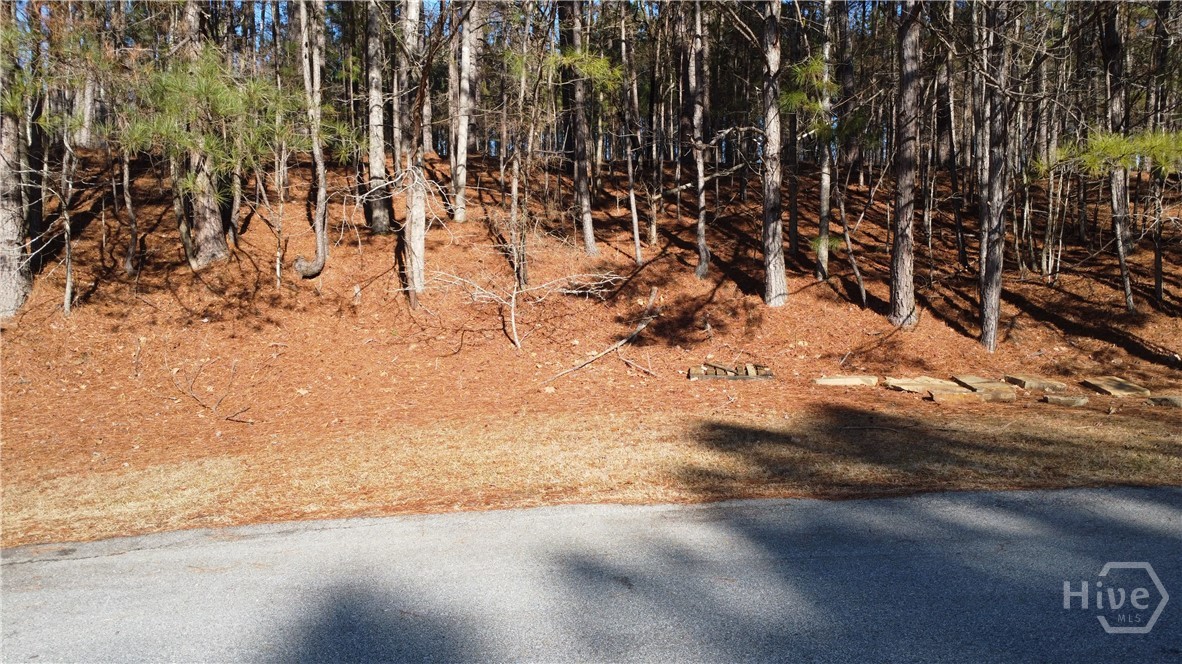 Homes for sale in Greensboro, GA | 1060 Forrest Highlands, Greensboro, GA 30642 | MLS# CL348581