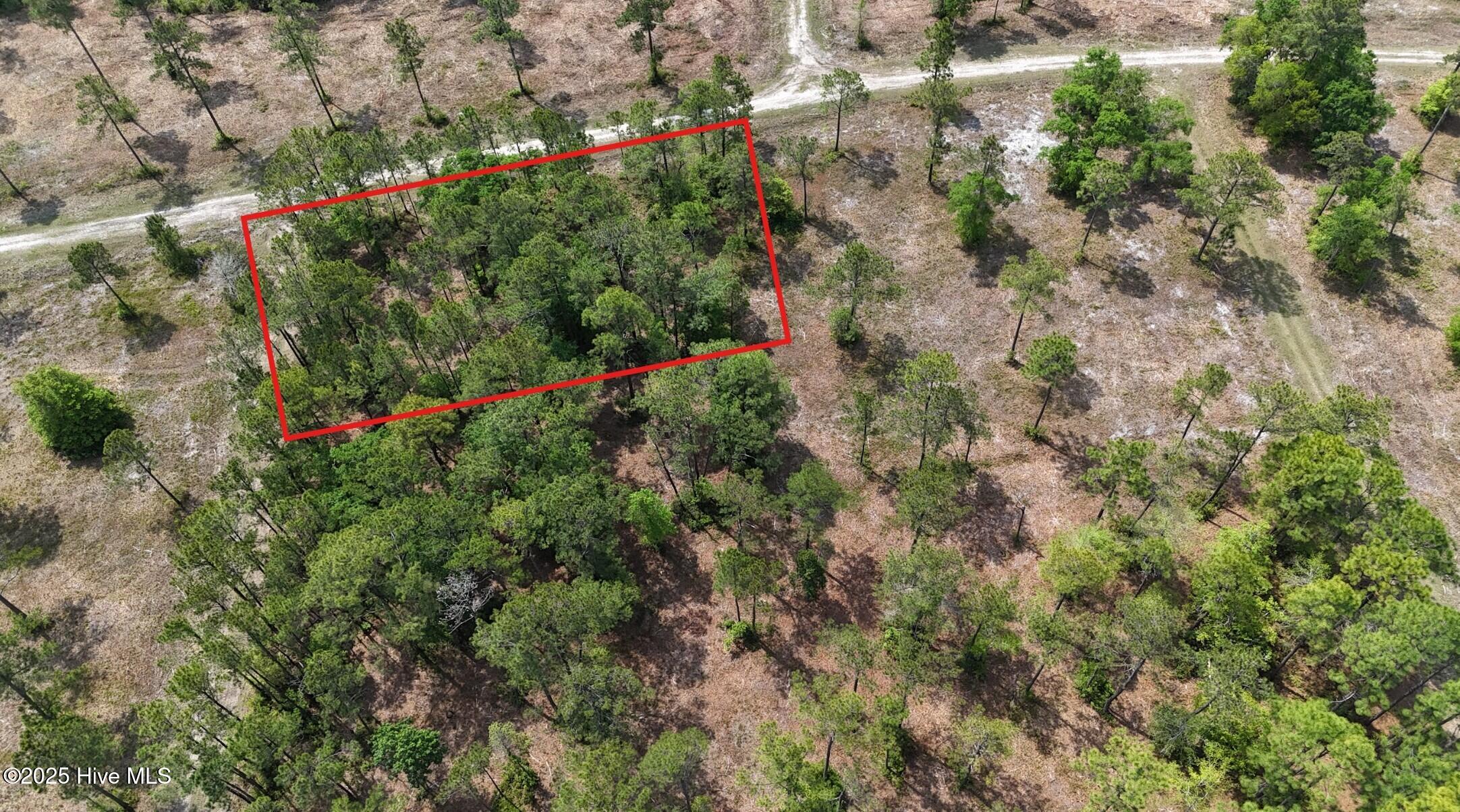 100516409 | Photo 10