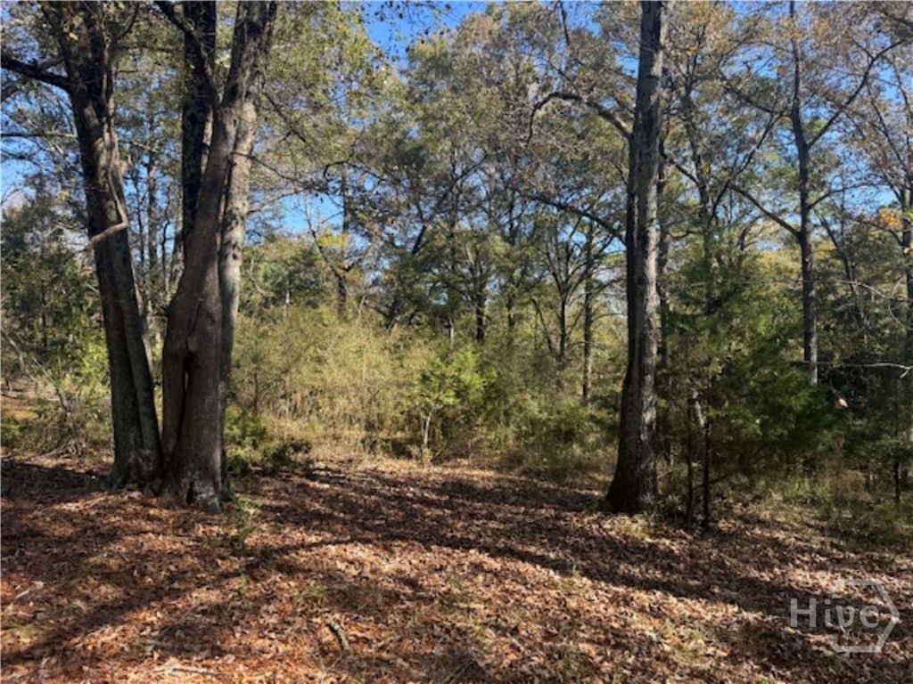 1240 Summit Drive, Watkinsville, GA, 30677