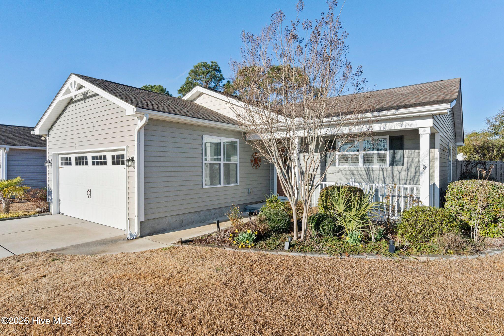 100554578 | Photo 37