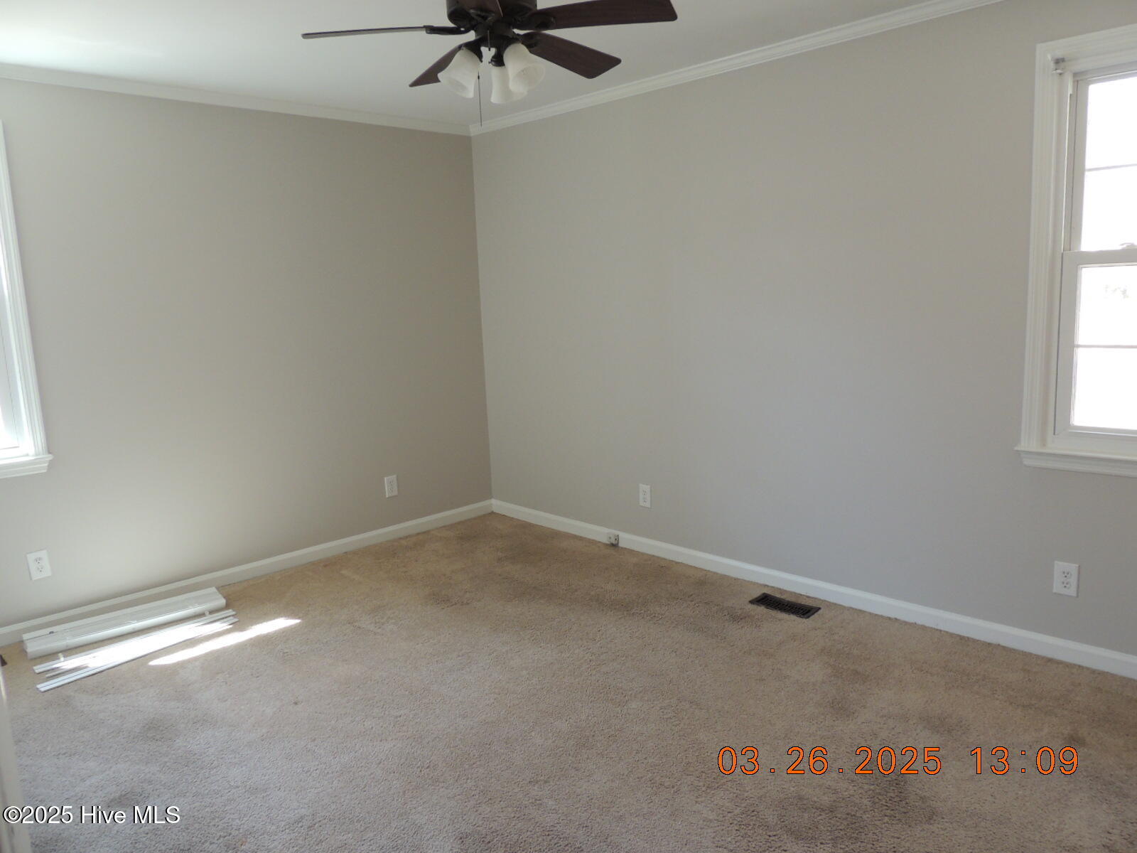 100565654 | Photo 13