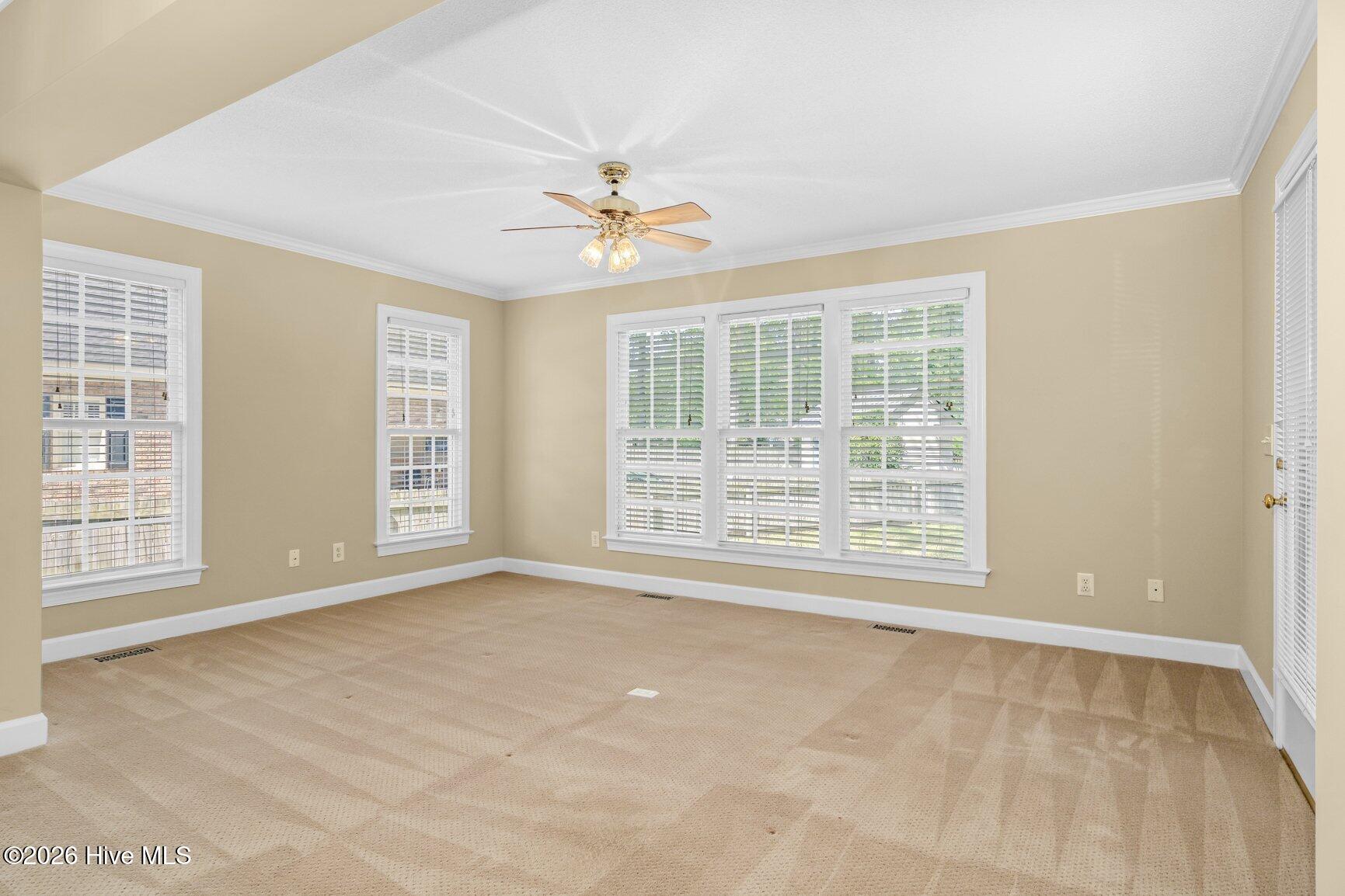 Look how light & bright