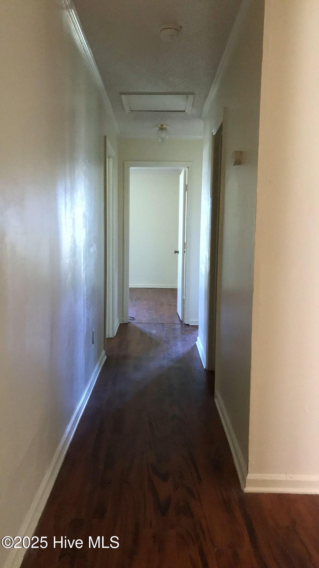 100527412 | Photo 11