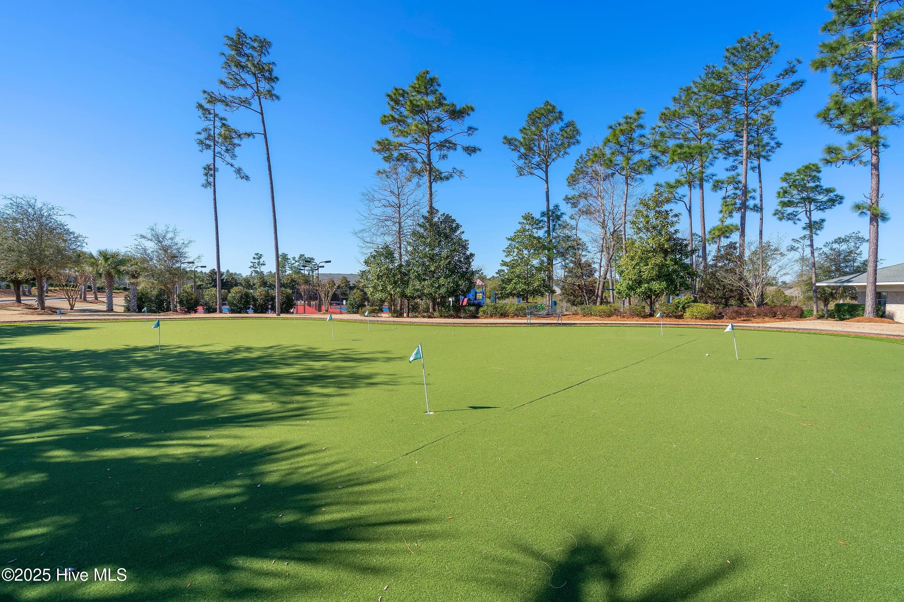 100527165 | Photo 52