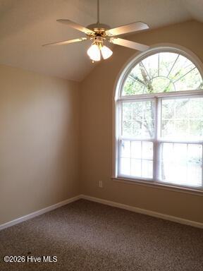 100555558 | Photo 11