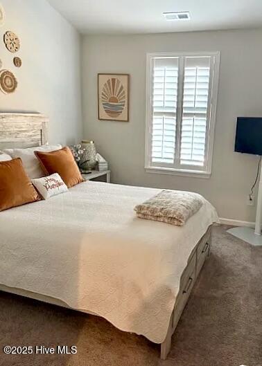 100546543 | Photo 30