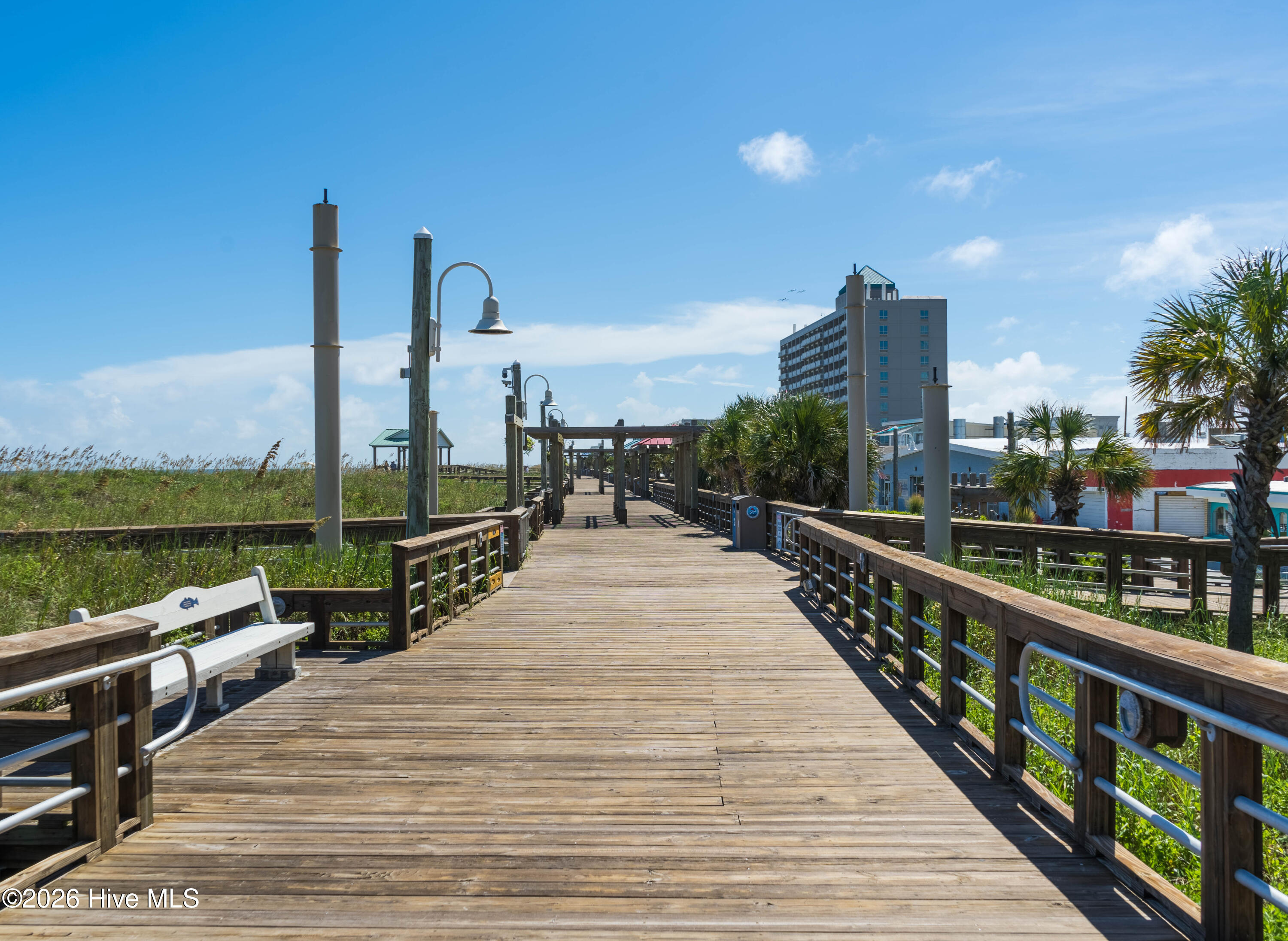 100566755 | Photo 66