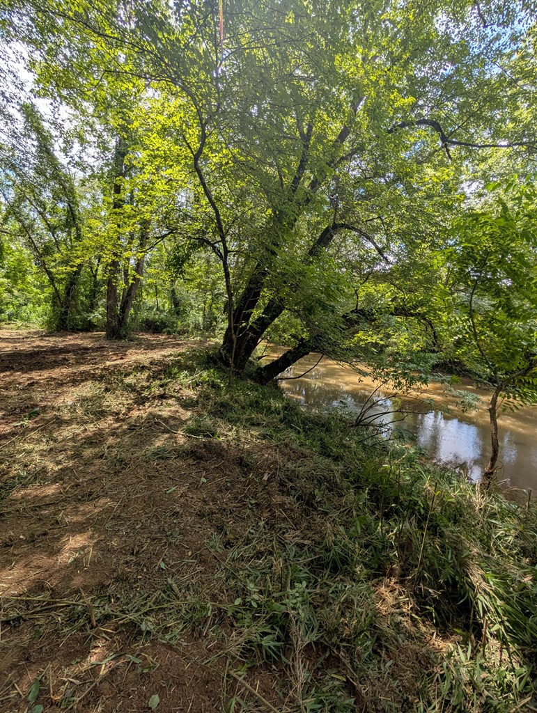 1.0 Ac Old Hwy 64, Warne, North Carolina, 0 ,Undeveloped,For sale,Old Hwy 64,98524736 1.0 Ac Old Hwy 64, Warne, North Carolina, 0 ,Undeveloped,For sale,Old Hwy 64,98524736