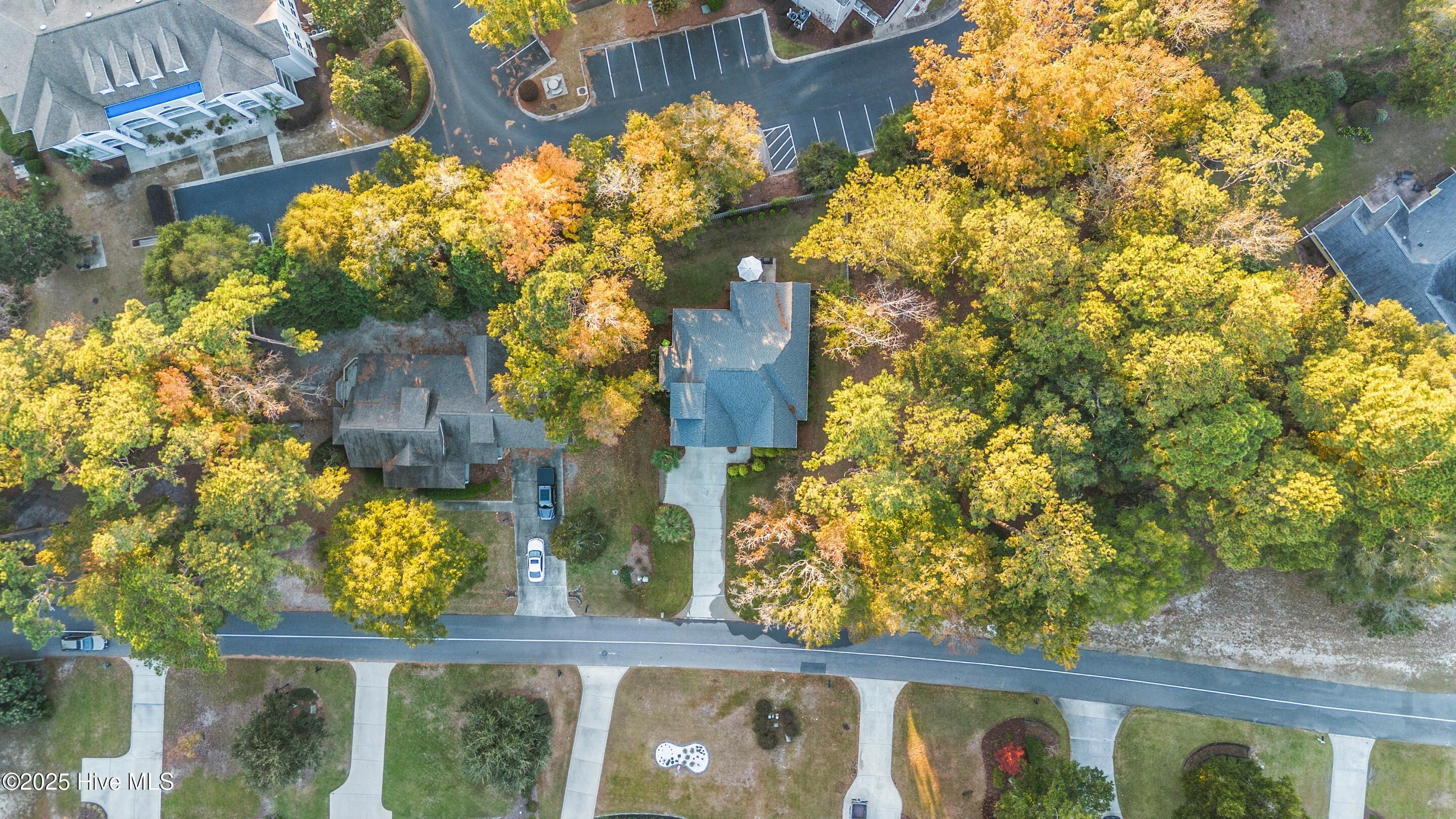 100542073 | Photo 54