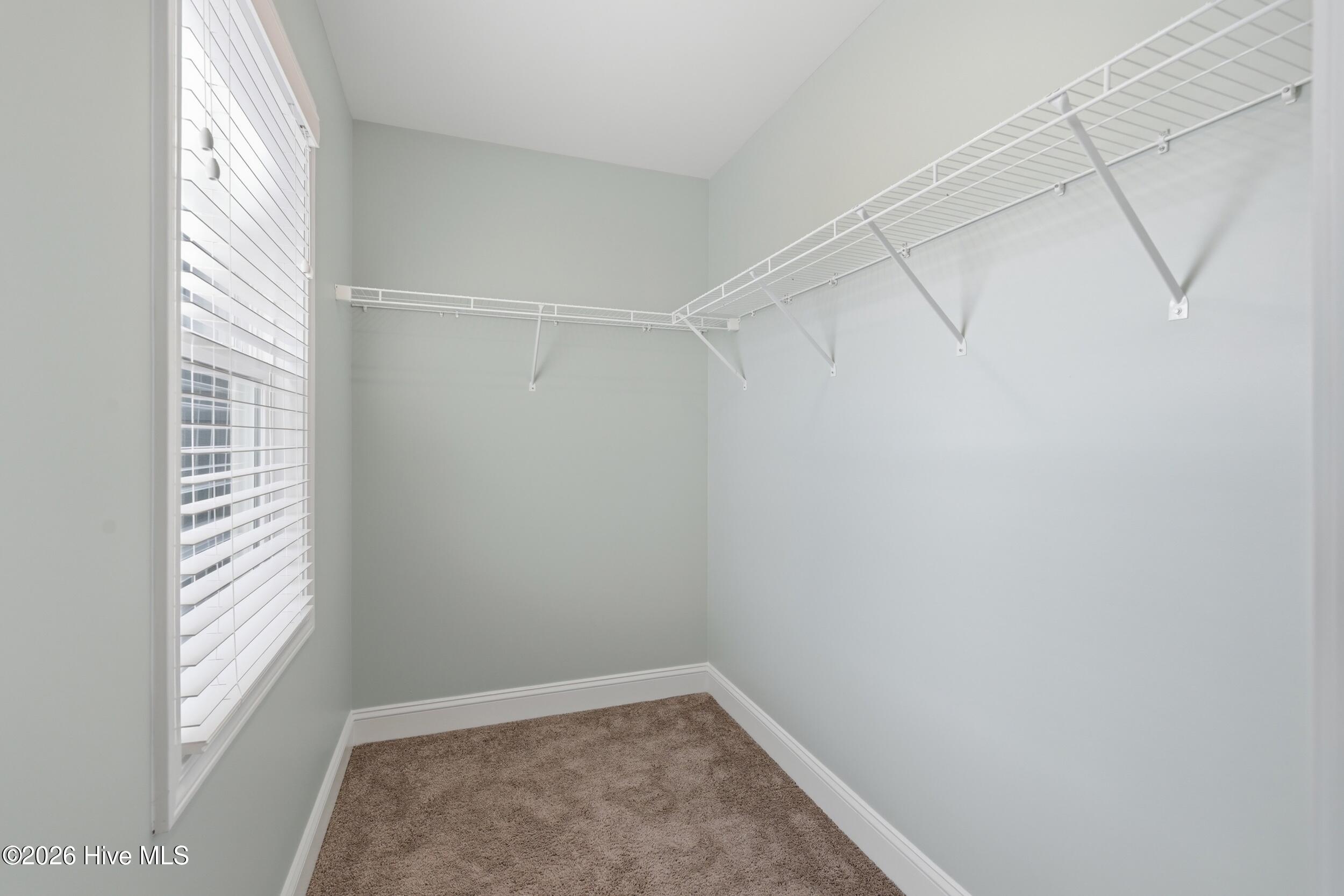 100566235 | Photo 27