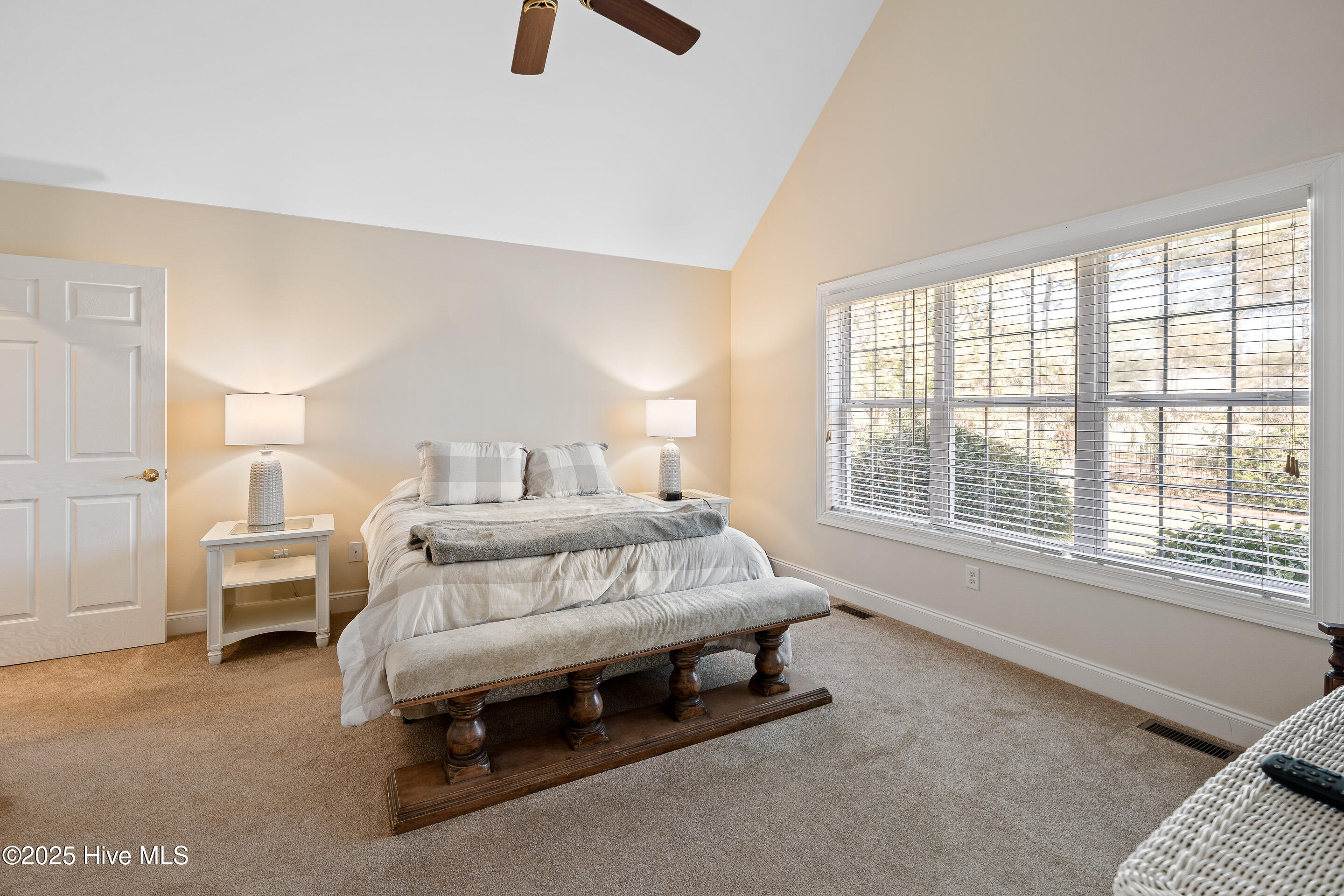 100537803 | Photo 30