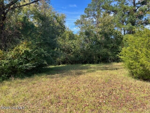 100523696 | Photo 12