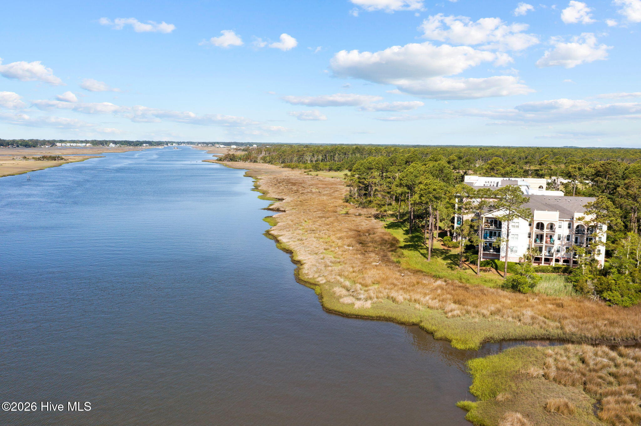 100558895 | Photo 94