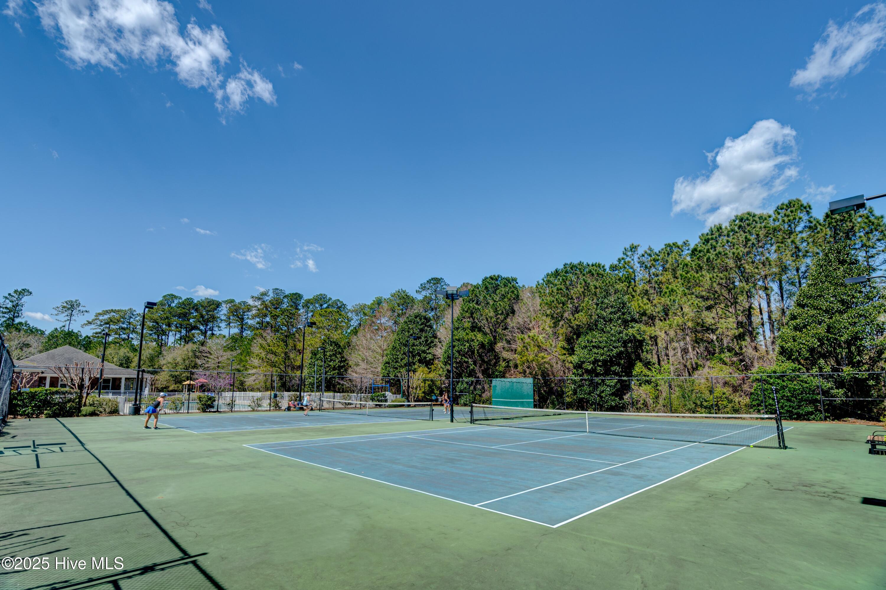 100535158 | Photo 78