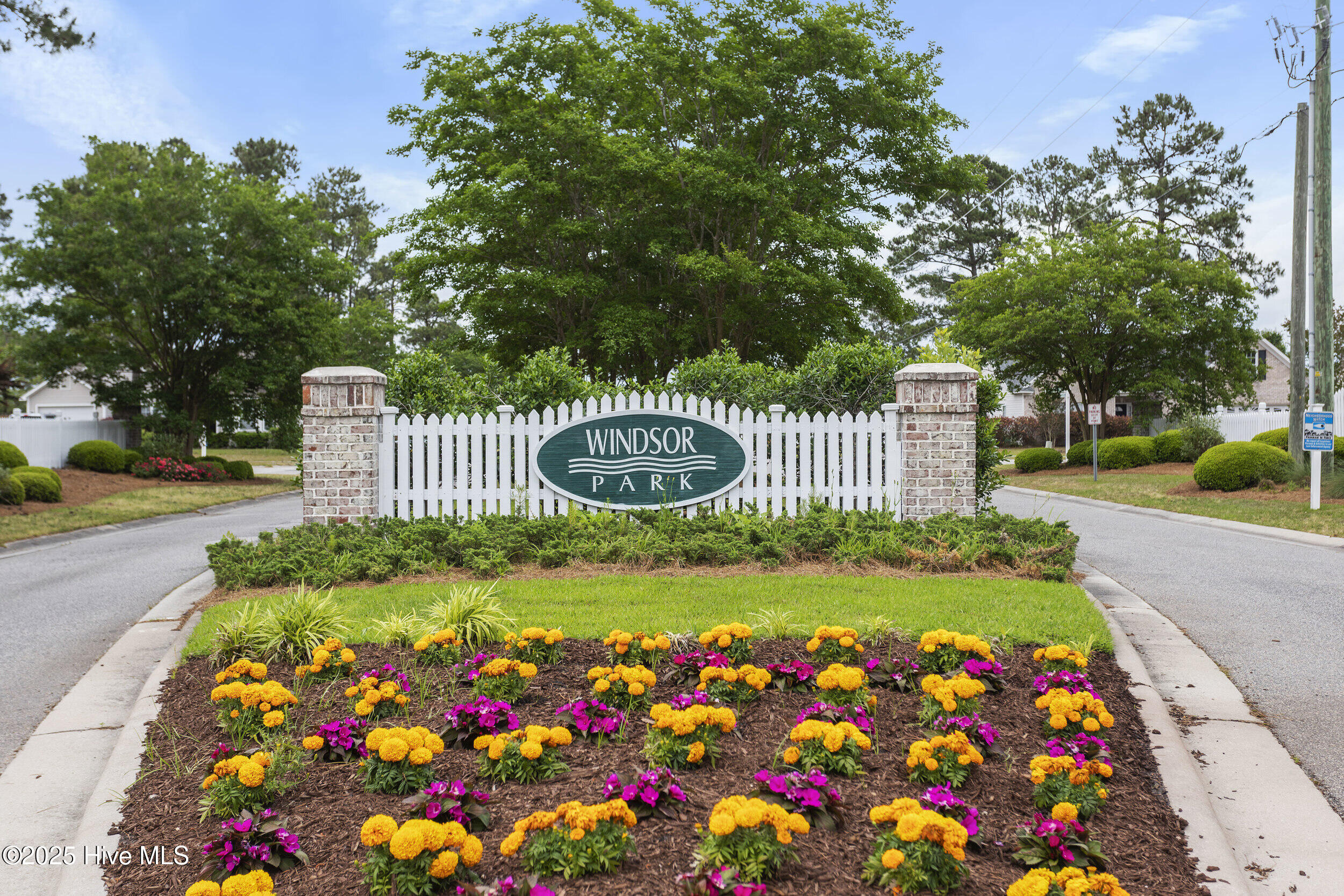 100531255 | Photo 47