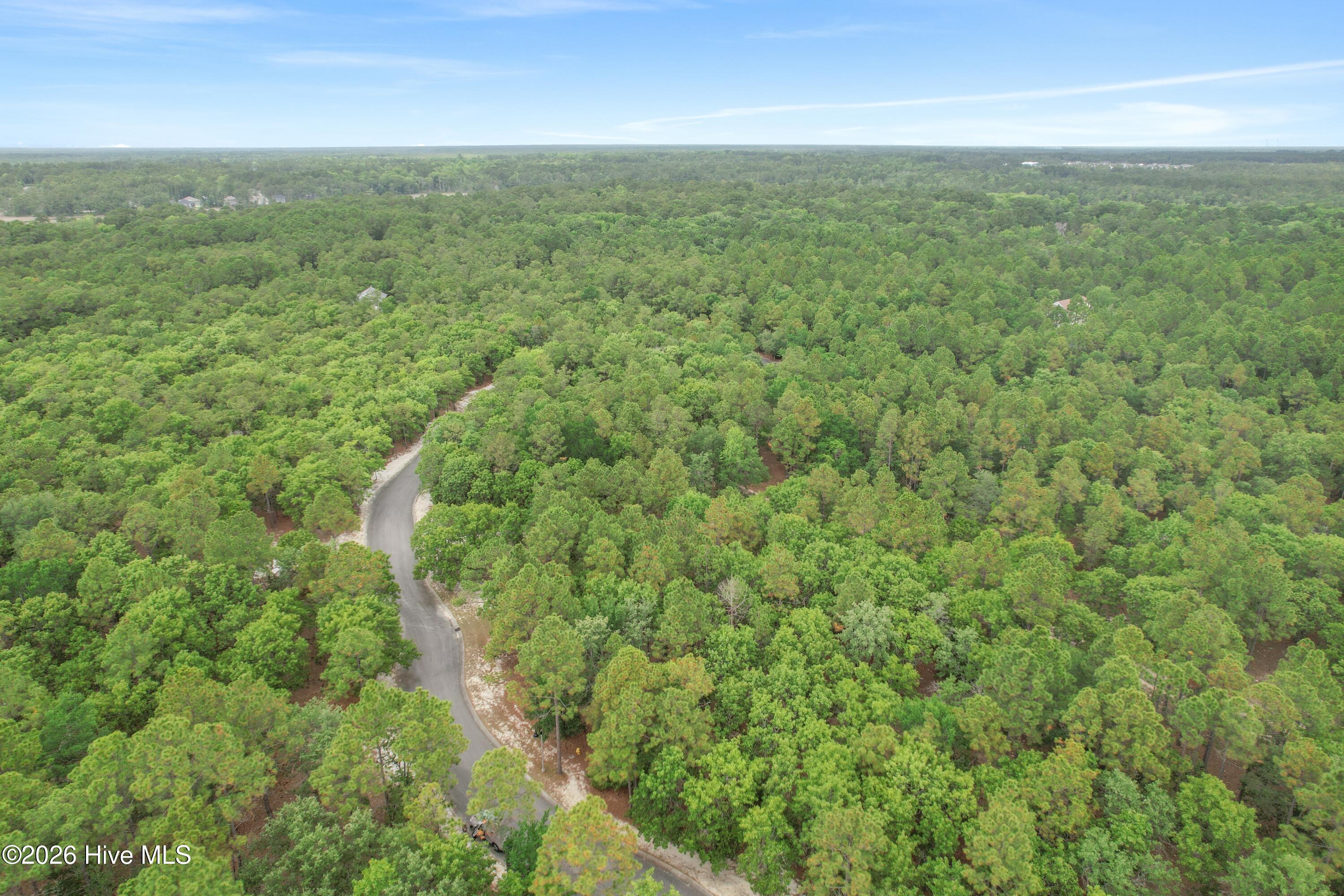 100580677 | Photo 23