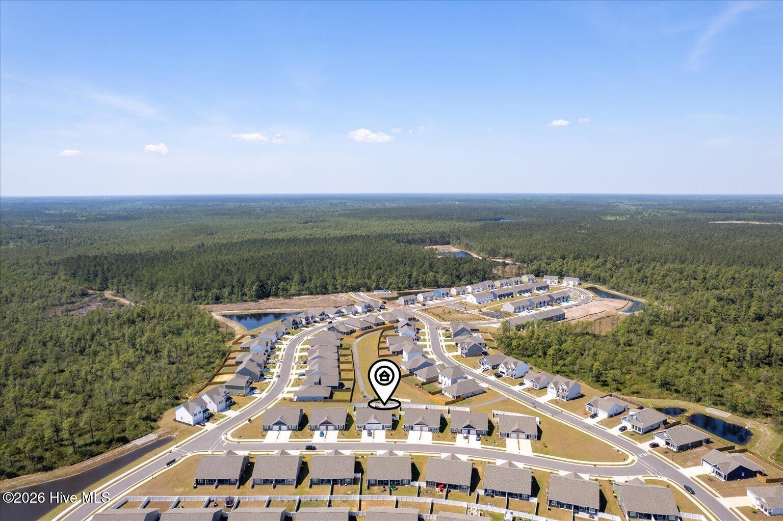 100568001 | Photo 49