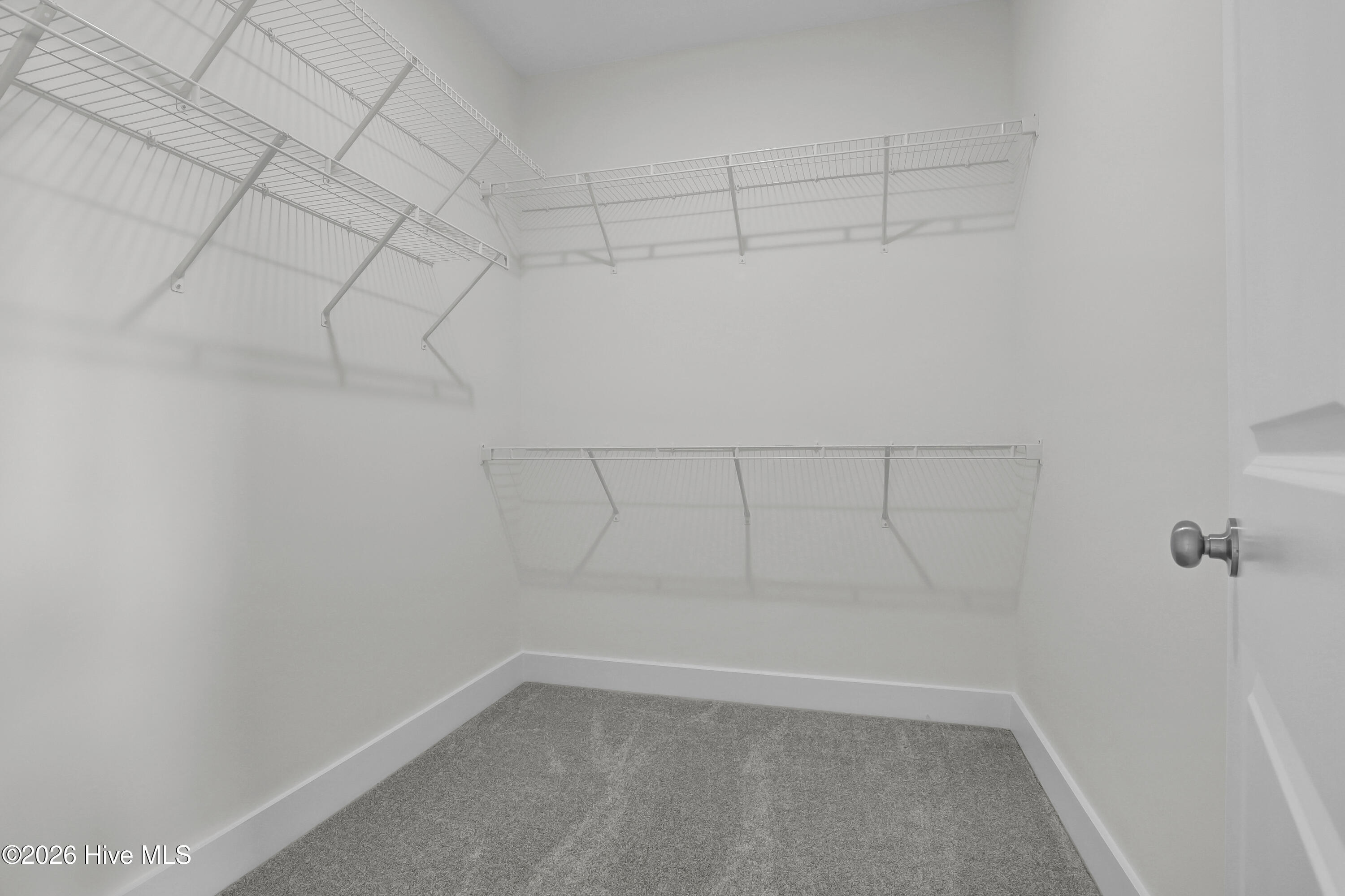 100547991 | Photo 20