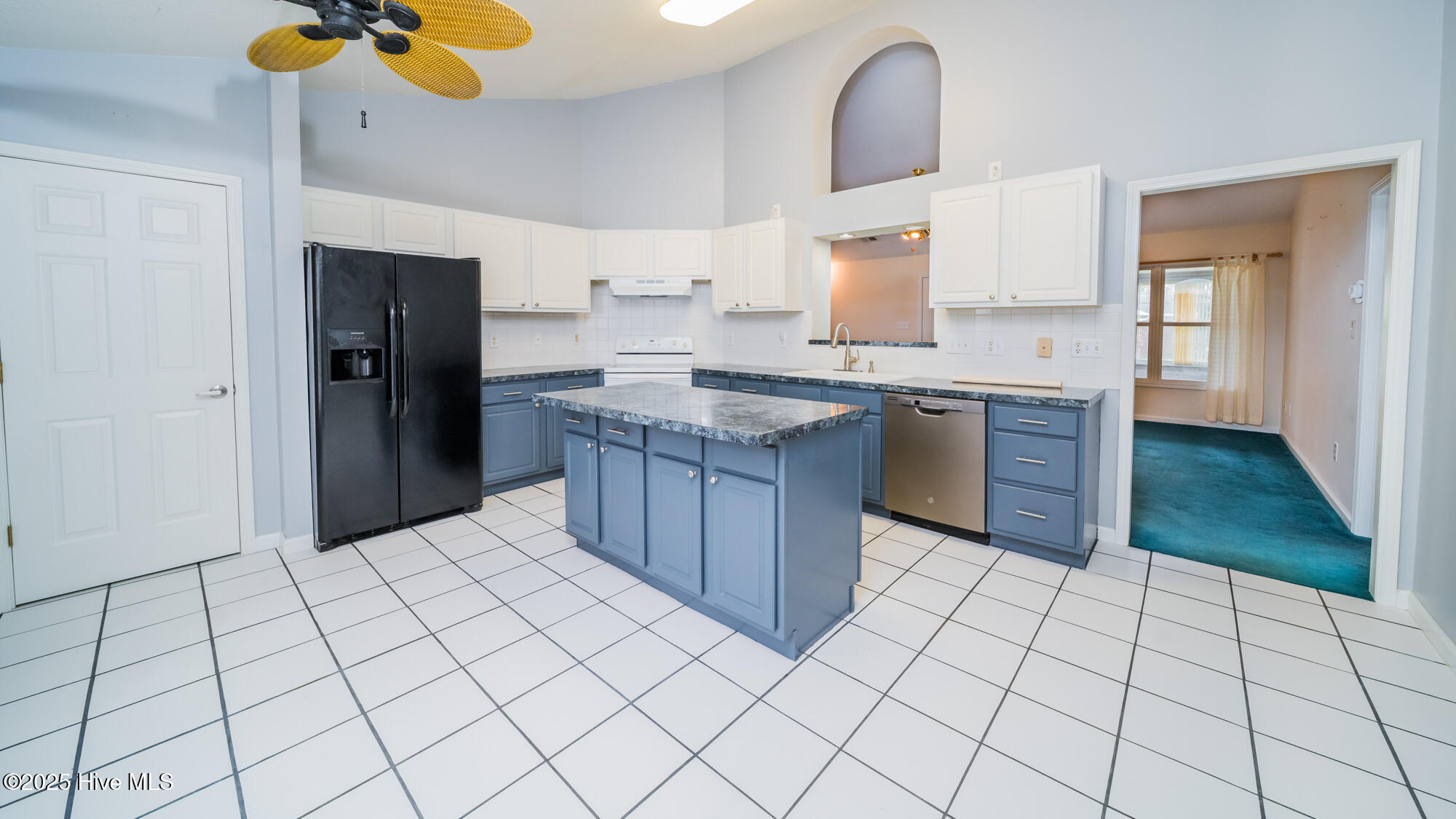 100532169 | Photo 14