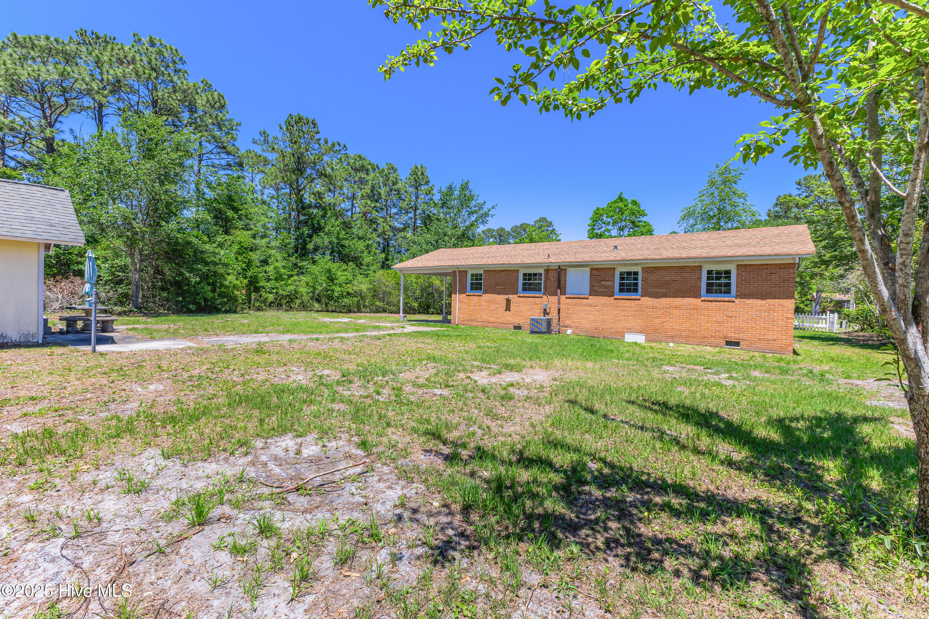 100509381 | Photo 34