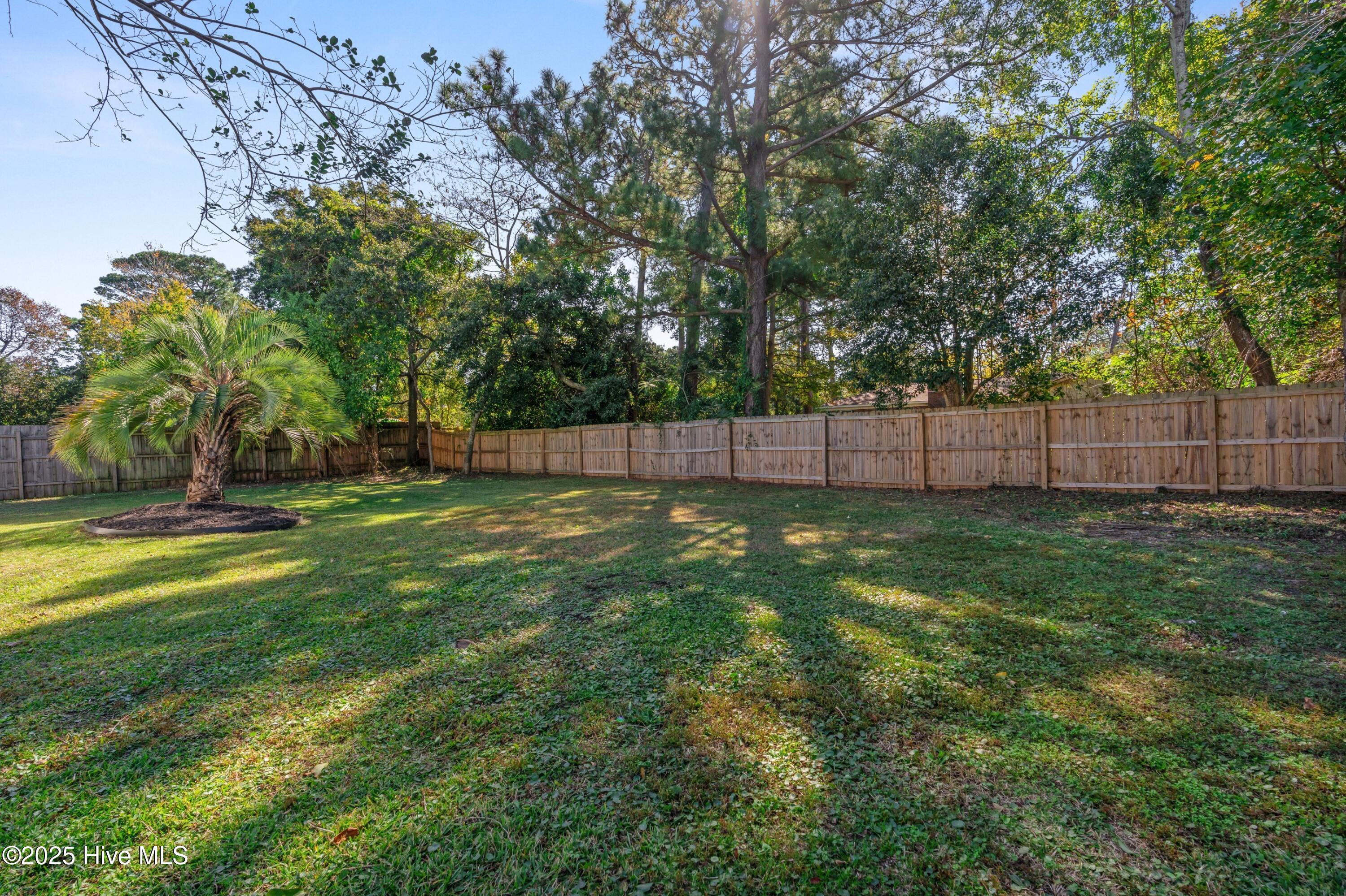 100539708 | Photo 46