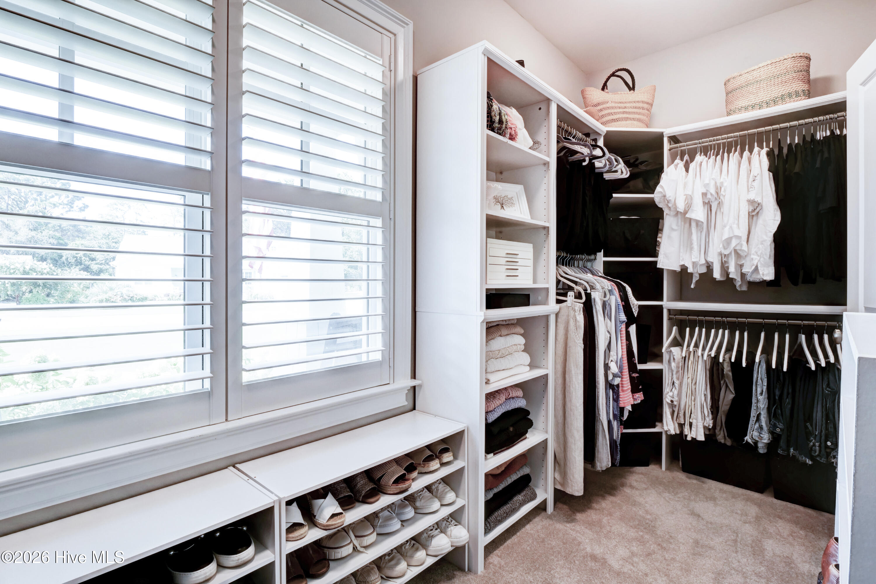 100569148 | Photo 30